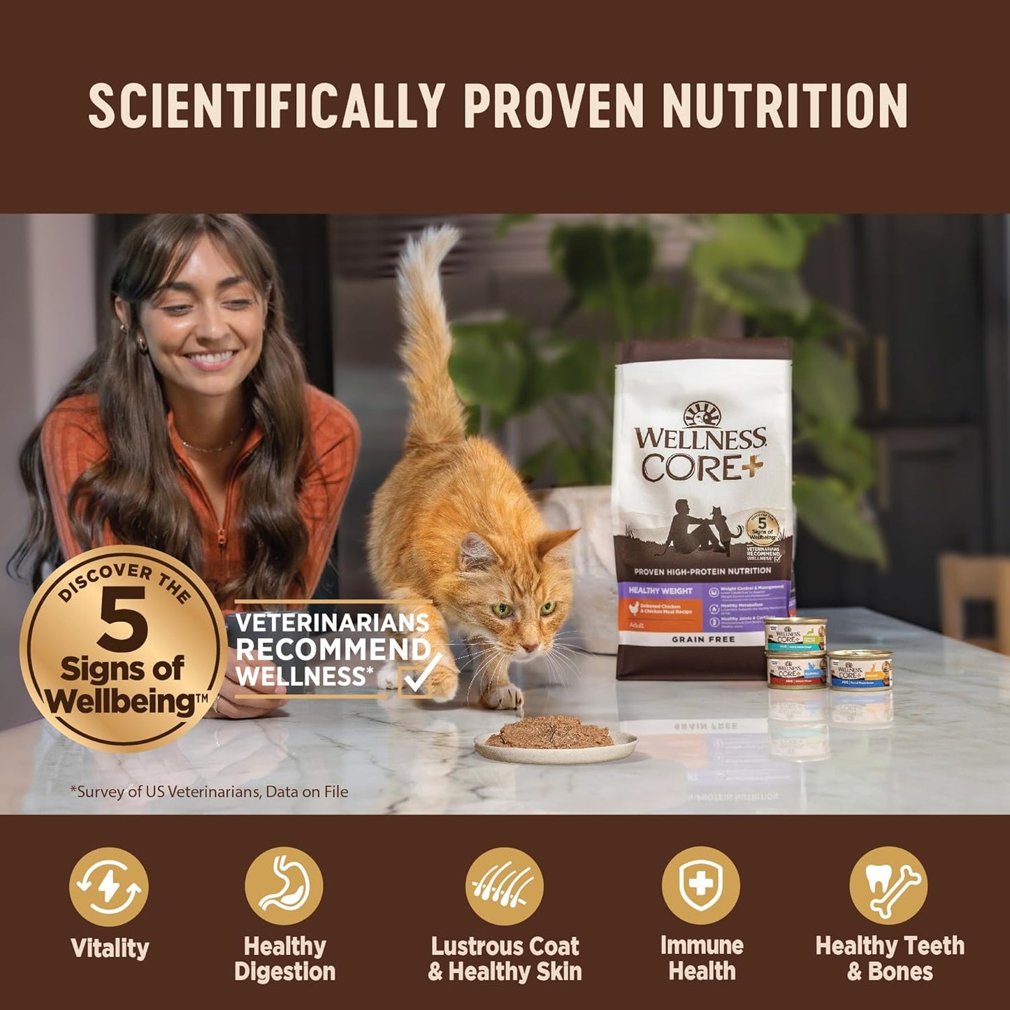 Wellness CORE+ Skin & Coat Pate Adult Wet Cat Food, Natural, Protein-Rich, Grain Free, 2.8 Ounce, 12 Pack (Salmon & Sardine)