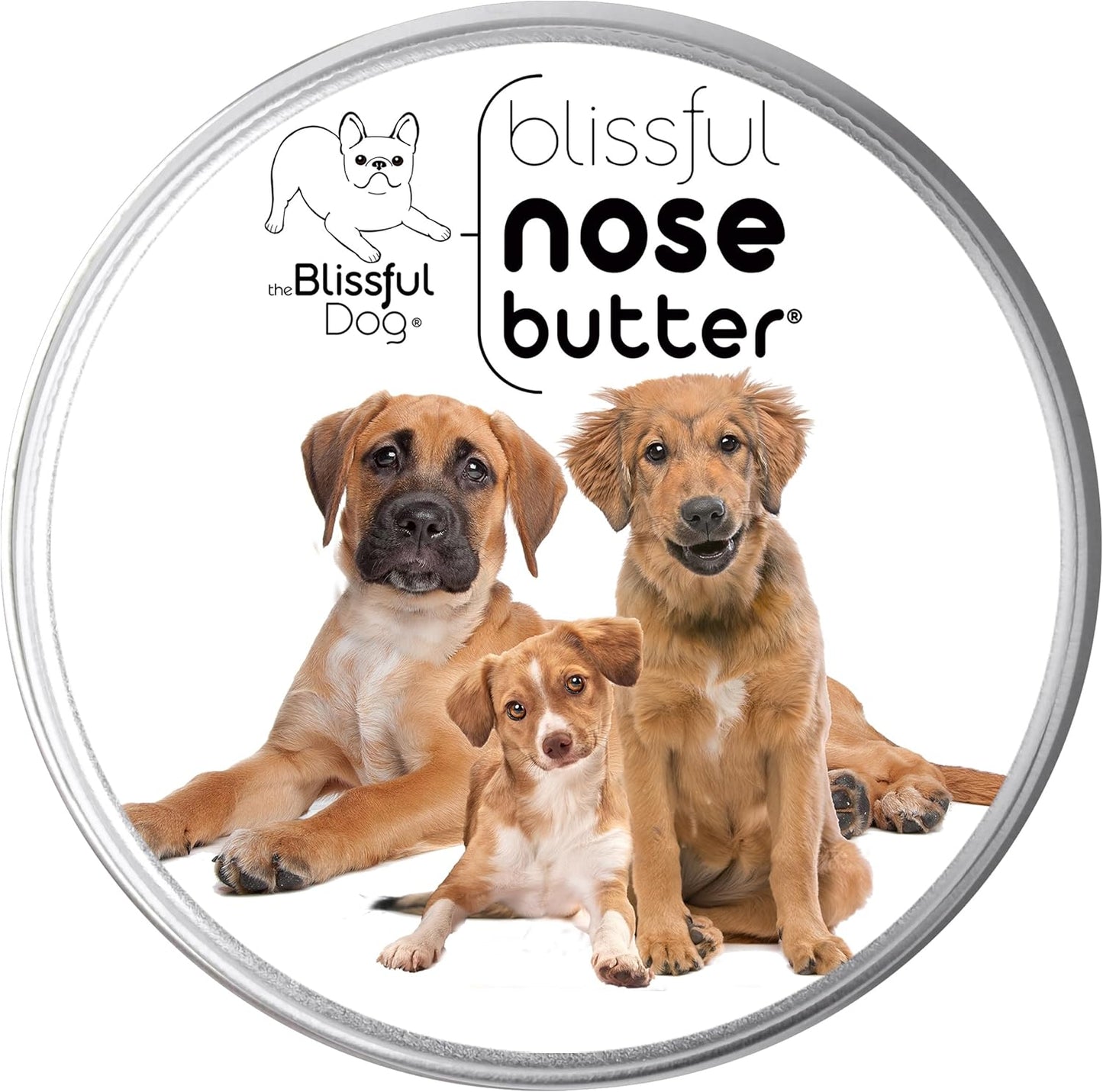 The Blissful Dog 3 Cute Puppies Nose Butter, Versatile Dog Nose Balm for Dry Nose, Handcrafted Nose Moisturizer, Easy-to-Apply Dog Essentials, Unscented, 2 oz.