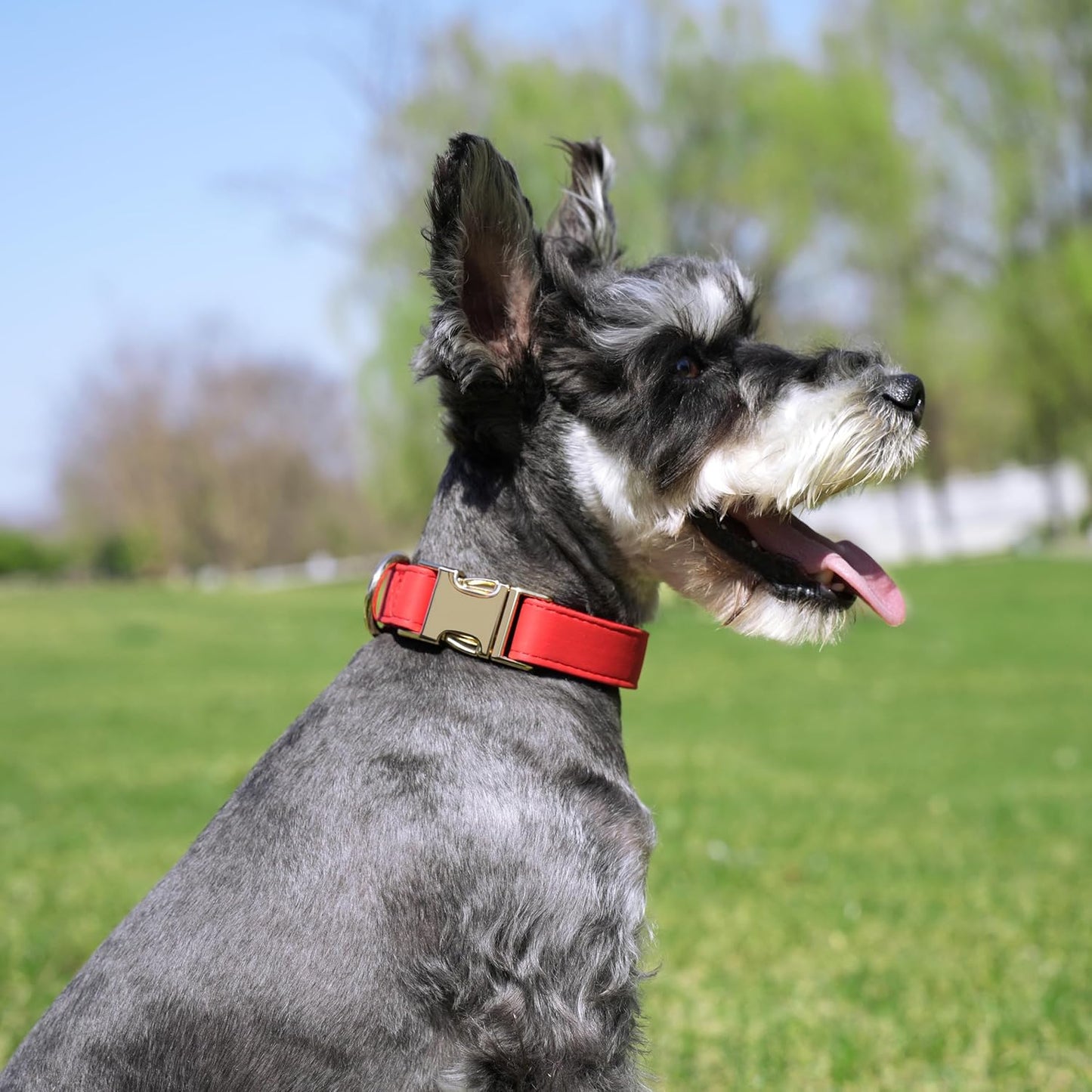 PET ARTIST Soft PU Leather Dog Collar, Bright & Classic Red Dog Collar with Quick Release Rose Metal Buckle, Adjustable Nylon Padded Durable Pet Collars for Small Dogs Girl, Neck Fit 9-14"
