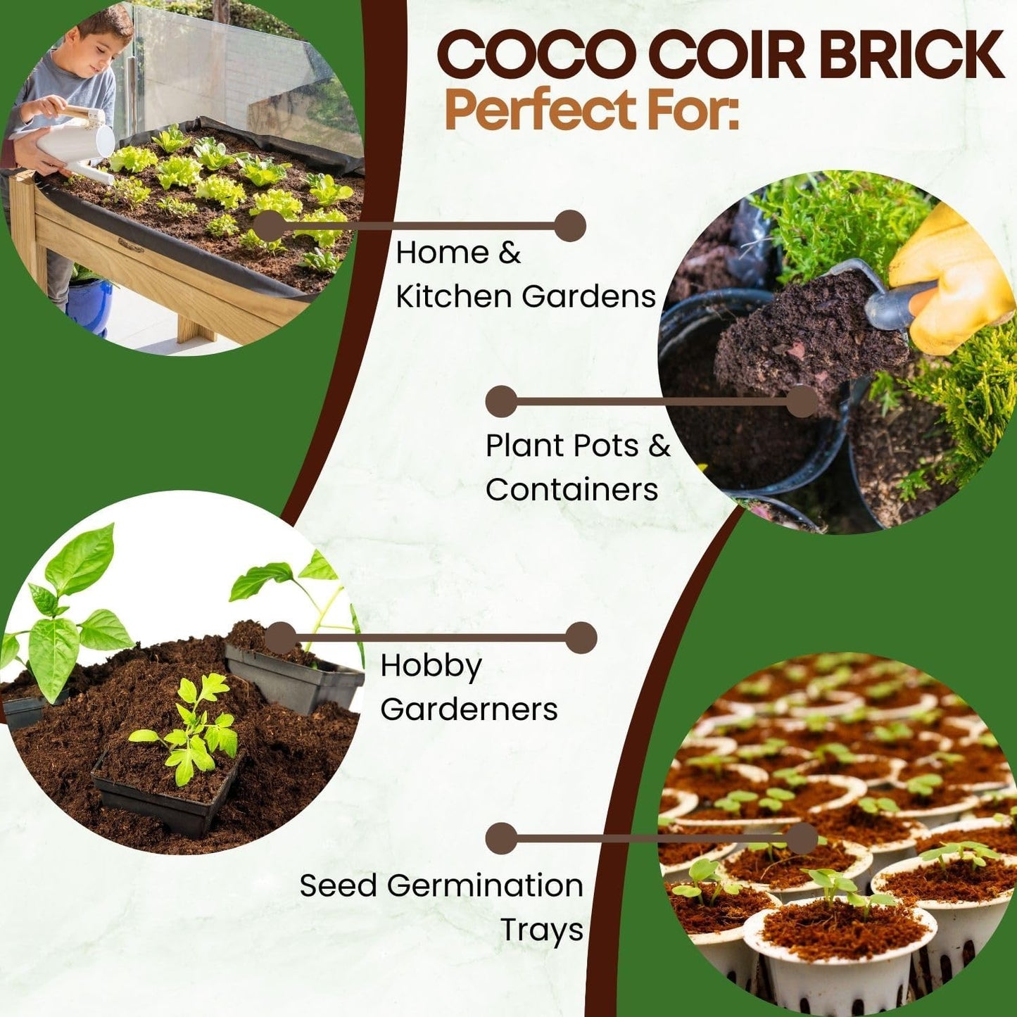 4 Pack Premium Coco Coir Brick for Plants | 100% Organic Compressed Coconut Coir Bricks Starting Mix, Coco Coir Fiber Coconut Husk for Planting, Gardening, Potting Soil Substrate, Herbs, 1.4 LB/Brick