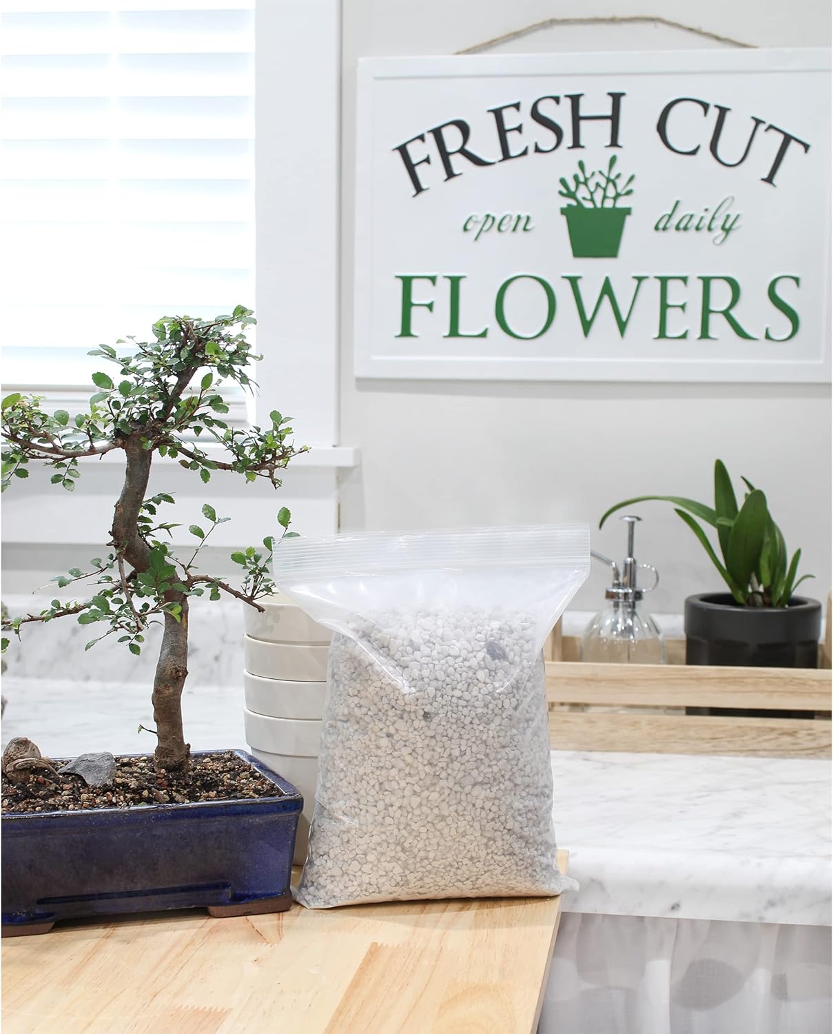 Horticultural Bonsai Pumice Soil Amendment (2 LB), Supplement for Bonsai and Cactus Indoor Plants