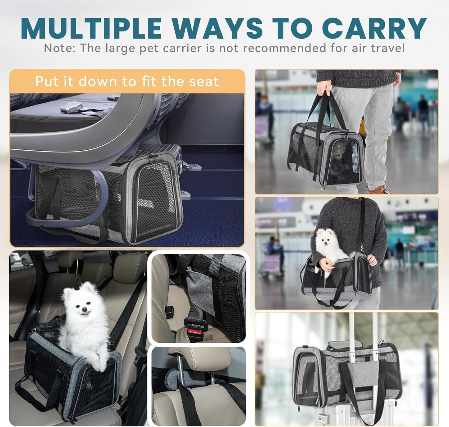 Petsfit Cat Carrier Small Dog Carrier, Lightweight Portable Soft Pet Carrier for Large and Medium Cats, 5-Sided Breathable Mesh, Escape Proof and Auto-Safe, Sturdy Structure