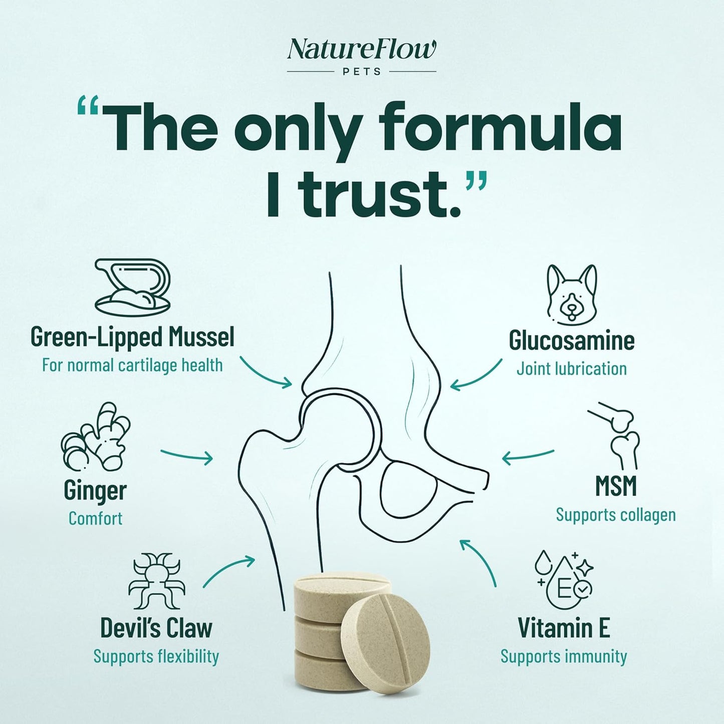 Joint Supplement for Dogs, Power of Nature Made in USA, Unique Formula: Green-Lipped Mussel, Glucosamine, Chrondroitin, MSM, Devils Claw, Hip and Joint Supplement, All Breeds - 200 ct