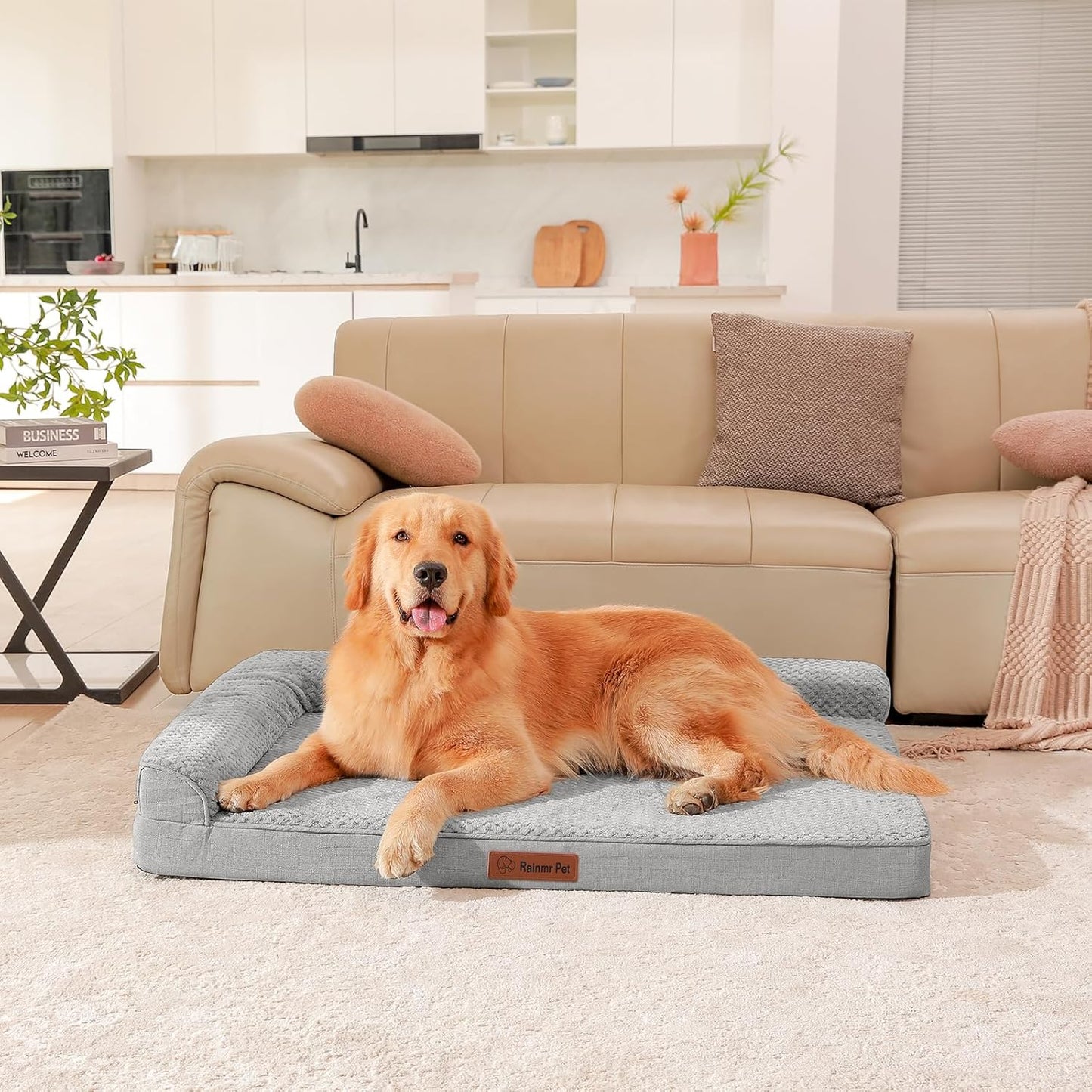 Orthopedic Dog Bed, 3 Inch Memory Foam Dog Beds for Large Dogs, Washable Removable Cover, Nonskid Bottom, Waterproof Pet Couch for Indoor, Outdoor or Car Use, 44x32 Inches XXL Light Grey