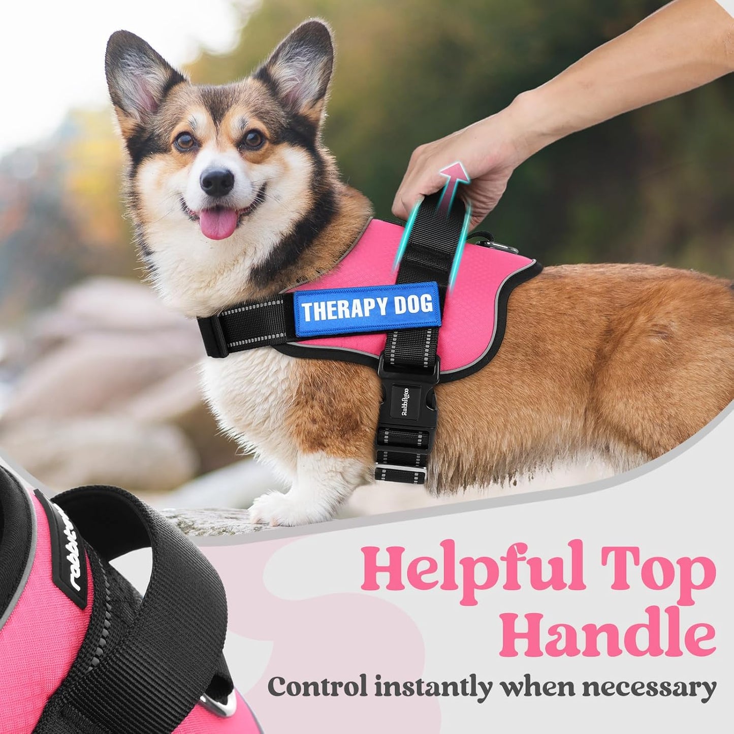 rabbitgoo Dog Harness for Large, Easy On Pet Vest with One Buckle, No Pull Adjustable Service Harness with D-Ring & Handle, Reflective for Safety Walking, Training, Pink, L