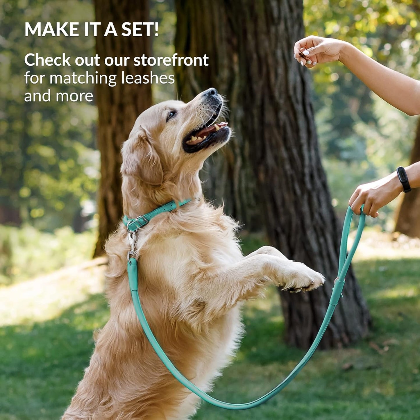 CollarDirect Rolled Leather Dog Collar, Soft Padded Round Puppy Collar, Handmade Genuine Leather Collar Dog Small Large Cat Collars 13 Colors (13-16 Inch, Mint Green Smooth)