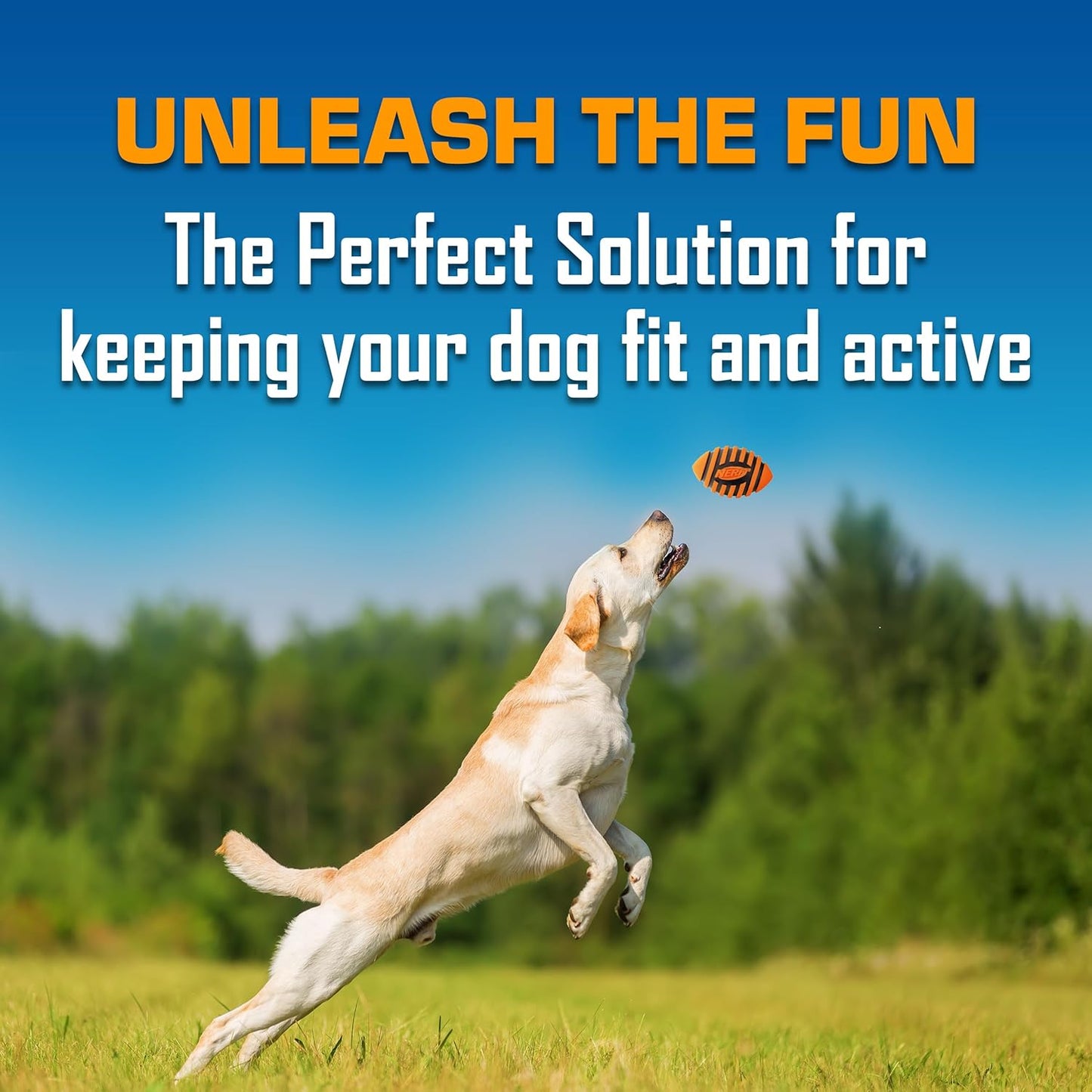 Nerf Dog Spiral Squeak Football Outdoor Dog Toy, 5 Inch Dog Football Squeaking Toy for Medium and Large Breeds, Orange