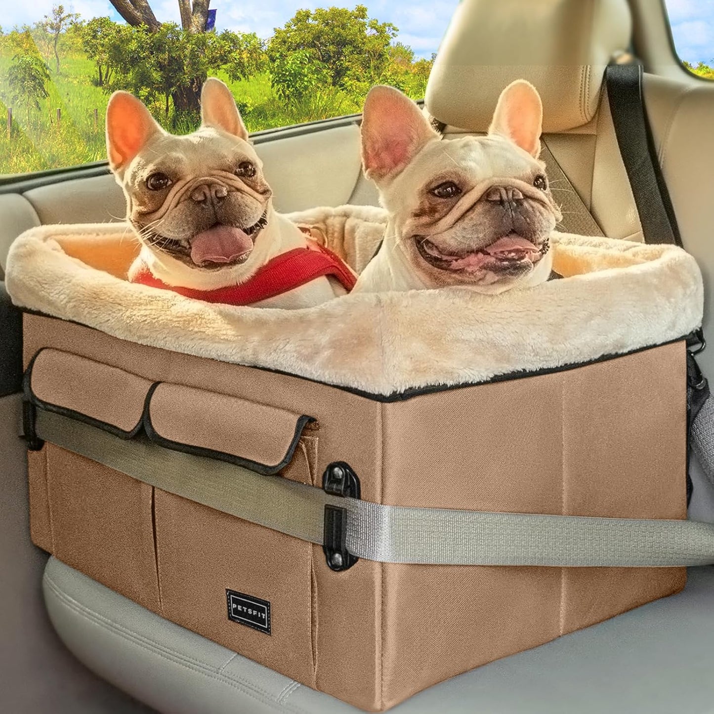Petsfit Dog Booster Car Seat for Medium Dog or 2 Small Dogs with Patent Buckles, Washable Pad, Upgraded Pet Car Seat for Dogs Up to 45 lbs (Medium, Tan)
