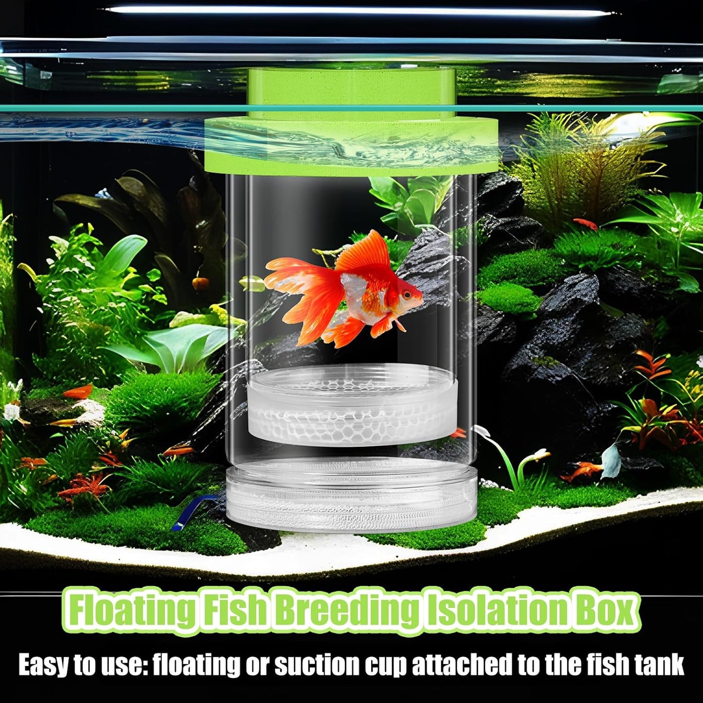 2 Pcs Breeder Box for Fish Tank Aquarium Breeder Separation Net Breeding Box with Suction Cup for Small Fish Shrimp Clownfish Guppy(Green,M)