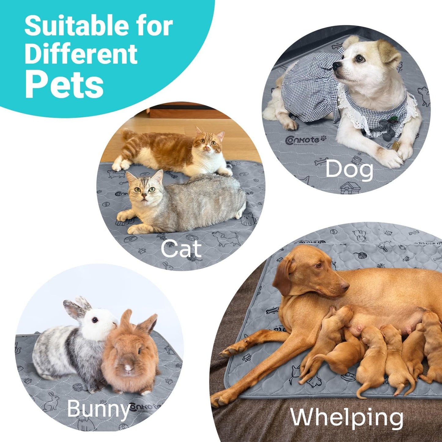 Conkote 72"x72" Washable Pee Pads for Dog Extra Large, Reusable Pee Pads Thick and Heavy Absorbency, Dog Playpen Mat Waterproof Puppy Training Pads for Playpen, Crate, Floor, Bed, Sofa, 1 Pack