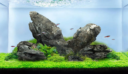 LANDEN Seiryu Stones Natural Rocks (17lbs, 3~11 inches,7-8pcs) for Aquarium, Paludarium, Terrariums, Landscaping Rocks, Aquascaping