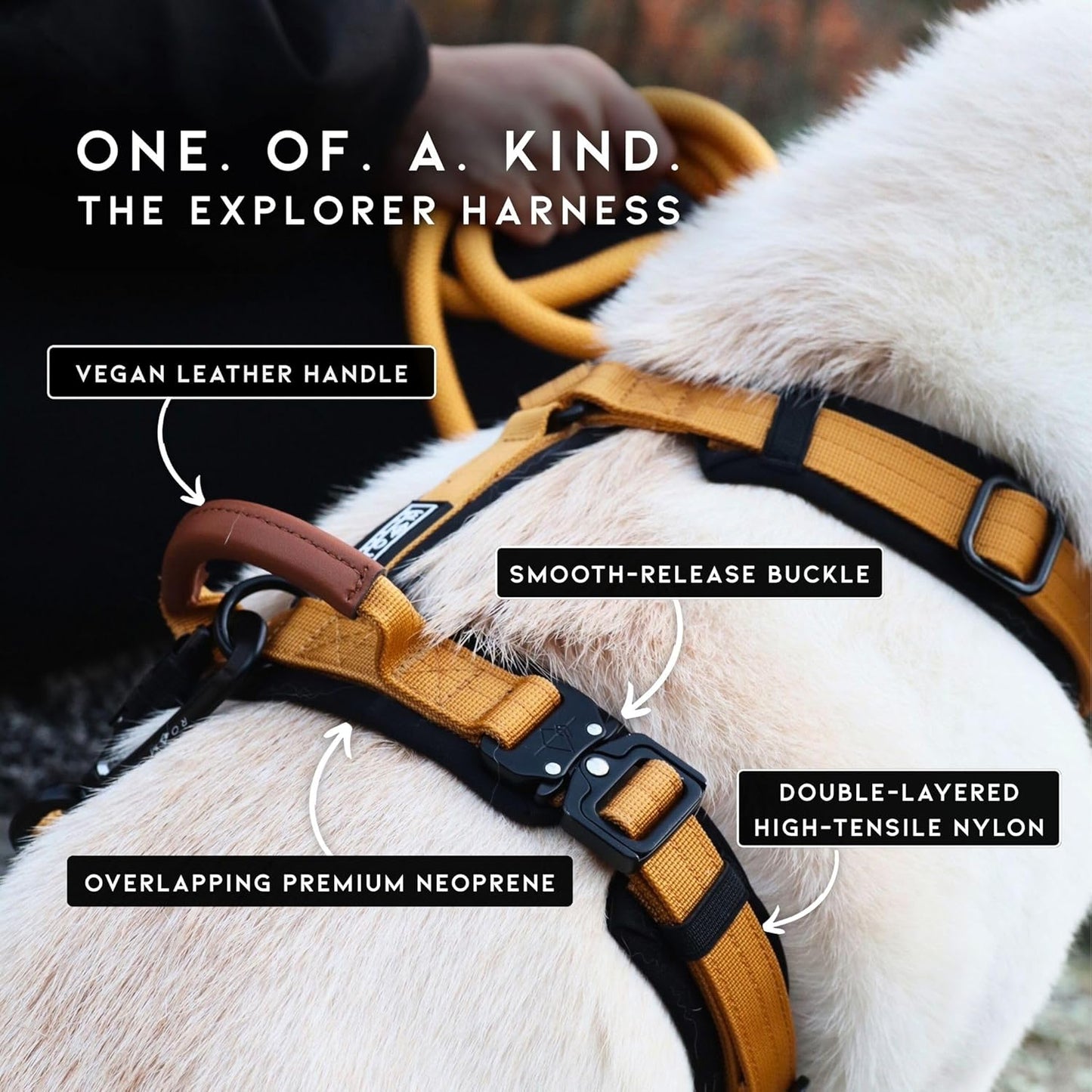 MADE TO ROAM Premium Explorer Harness - Y-Shaped Dog Harness with Adjustable Durable Nylon, Soft Padding, Metal Buckles and Leather Handle for Small, Medium, Large Dogs (Washington Rain, Size 6)