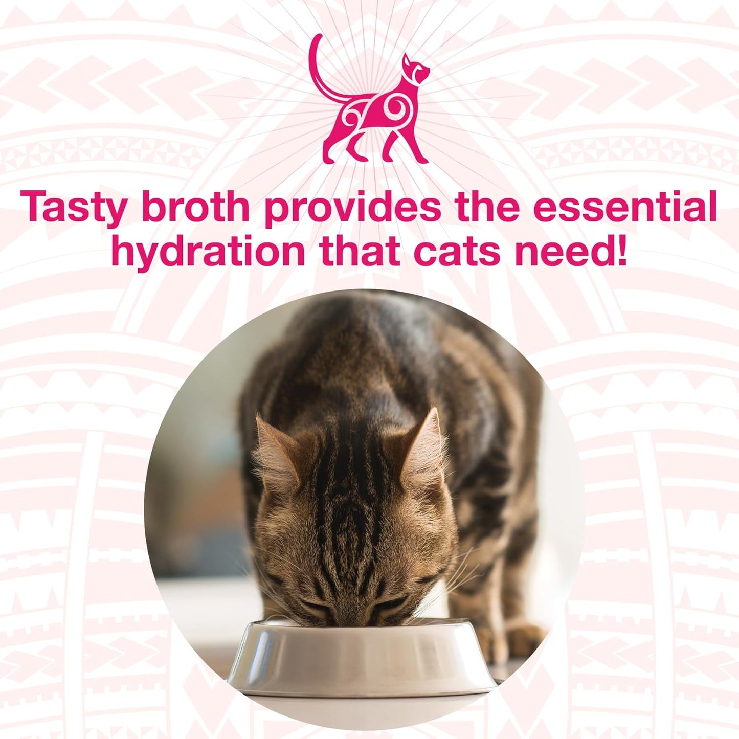 KOHA Pure Shreds Cat Variety Pack, High Protein Wet Cat Food - 5 Flavors - Beef, Duck, Chicken & Duck and Chicken & Salmon Food for Cats - 2.8 oz Cans, Pack of 12