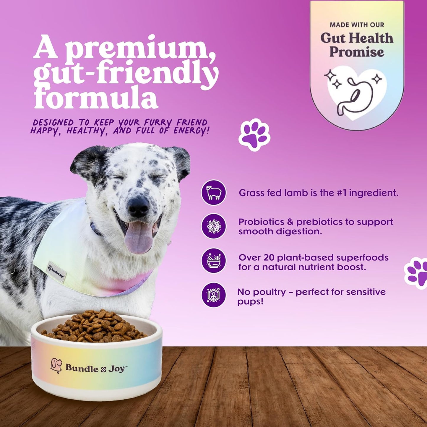 Brave Probiotic Dog Food Dry, Lamb, 4lb Bag, Allergy and Gut-Friendly Adult Kibble for Digestive Health with Grass-Fed Lamb, 20 Plant Based Superfoods, Poultry and Grain Free