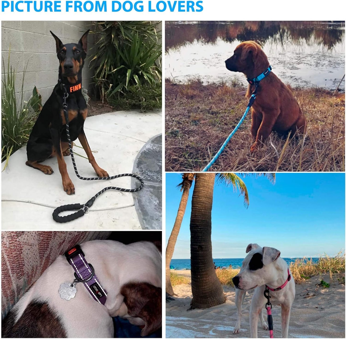 Heavy Duty Dog Leash - Comfortable Padded Handle, 5 ft Long - Dog Leashes for Small Medium Large Dogs (Leash+Collar S Neck 13.5"-16", Pink)