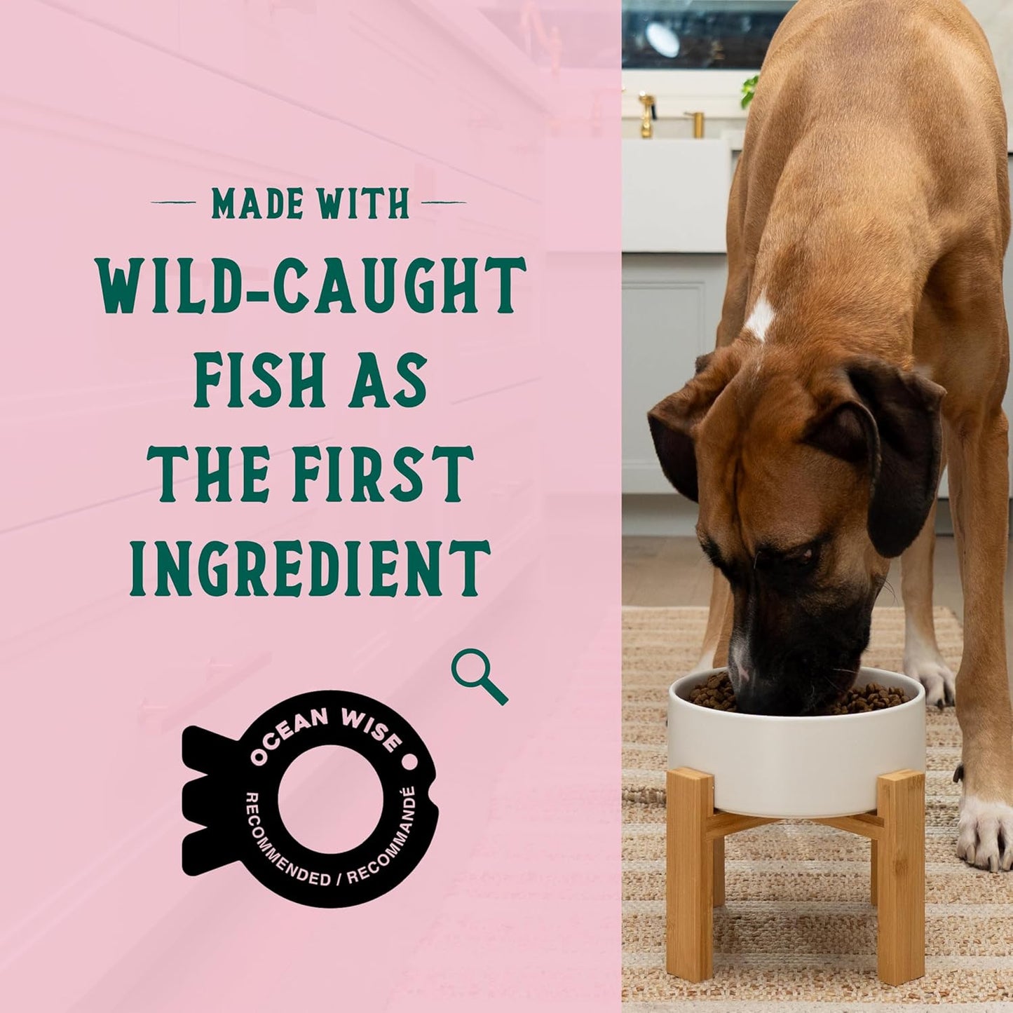 Open Farm Goodbowl, Oven-Baked Small Batch Dry Dog Food - Wild Caught Salmon & Brown Rice Recipe, Includes Non-GMO Produce & Grains, 3.5lb Bag (56oz Bag)