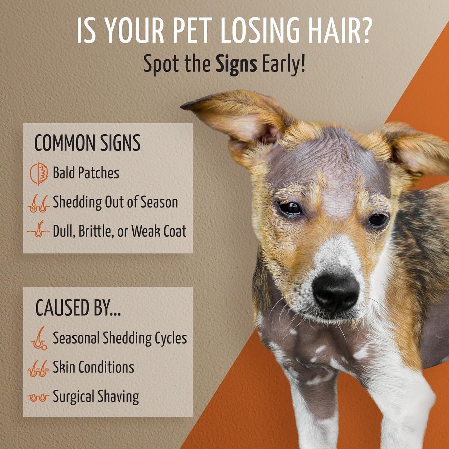 Tauro Pro Line Dog Leave in Conditioner Spray - Supports Pet Coat Regrowth - Cat & Dog Detangler Spray for Shedding, Matted Hair or Post-Surgery Care, Ideal for Doodle, Poodle (Derma Care 8.5 Fl Oz)