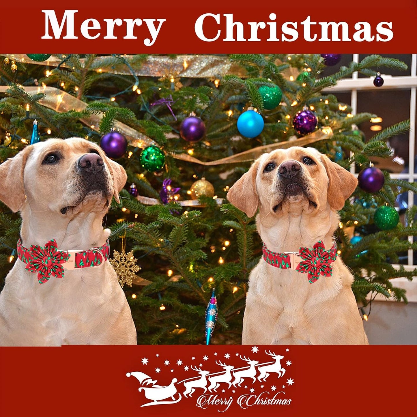 Unique style paws Christmas Dog Collar with Flower Best Winter for Small Medium Large Dogs -Christmas Tree-XS