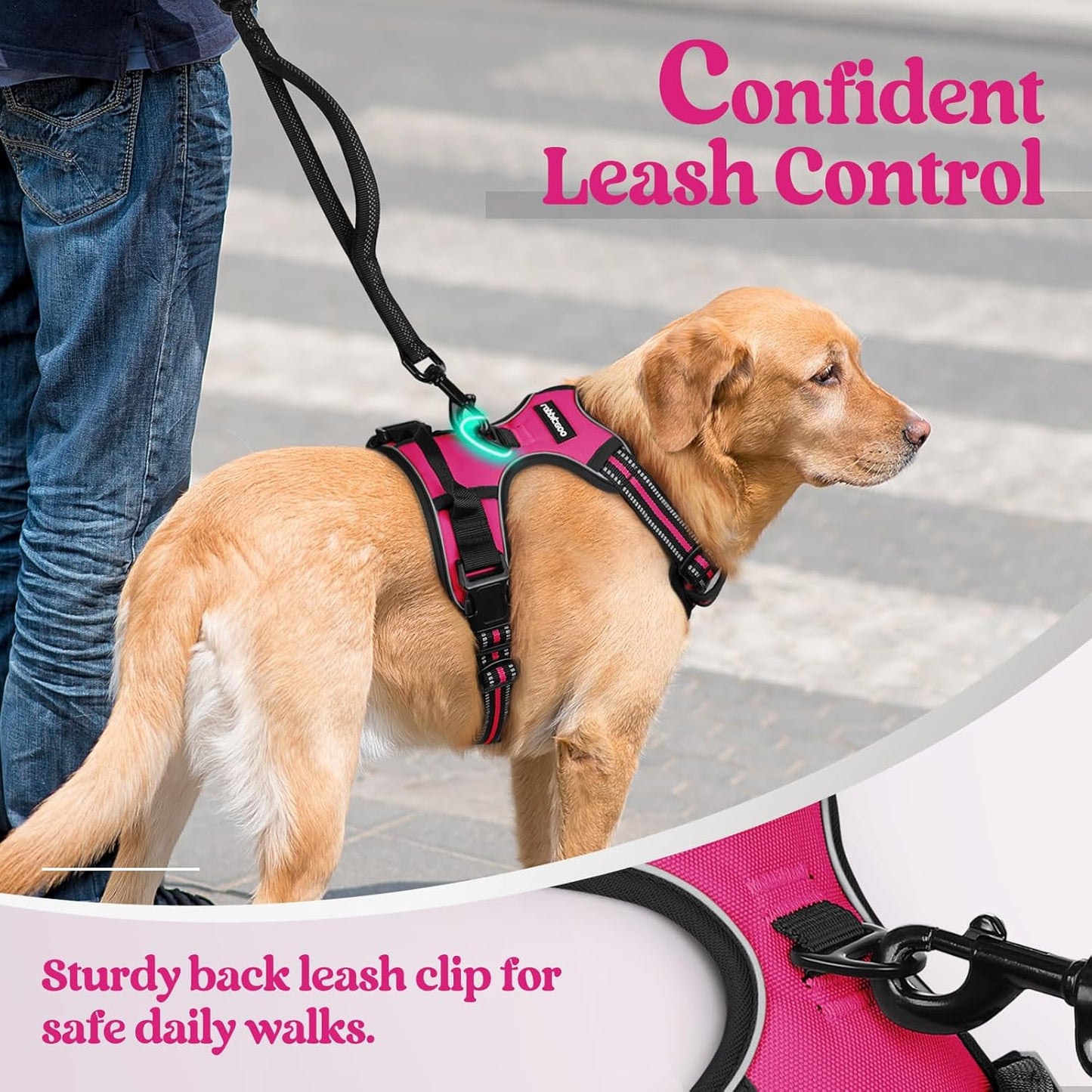rabbitgoo Dog Harness No Pull with 2 Leash Clips, Adjustable Soft Padded, Reflective Oxford No Choke Pet Vest with Easy Control Handle for Medium Sized Dogs, Hot Pink, M