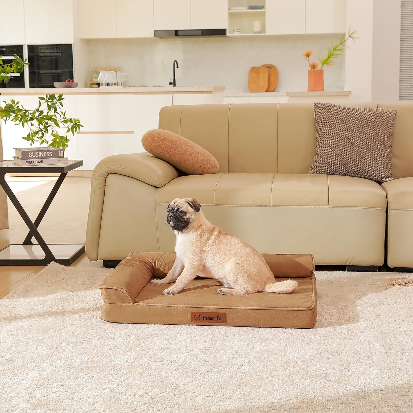 Upgraded Small Dog Bed, 3" Memory Foam with Waterproof Liner, Chew Resistant Microsuede Cover, Removable and Washable, for Indoor, Outdoor, and Car Use, Nonskid Base, 30x20 Inches S Khaki