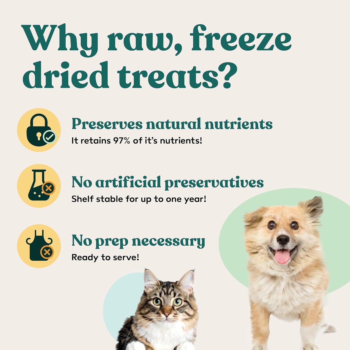 Little Hunter Freeze-Dried Raw Quail Egg Yolk for Dog & Cat Treats | Single-Ingredient High Protein, High Omega-3, Grain & Gluten-Free Training Reward | All Natural, Healthy Pet Treats, 4.2 oz