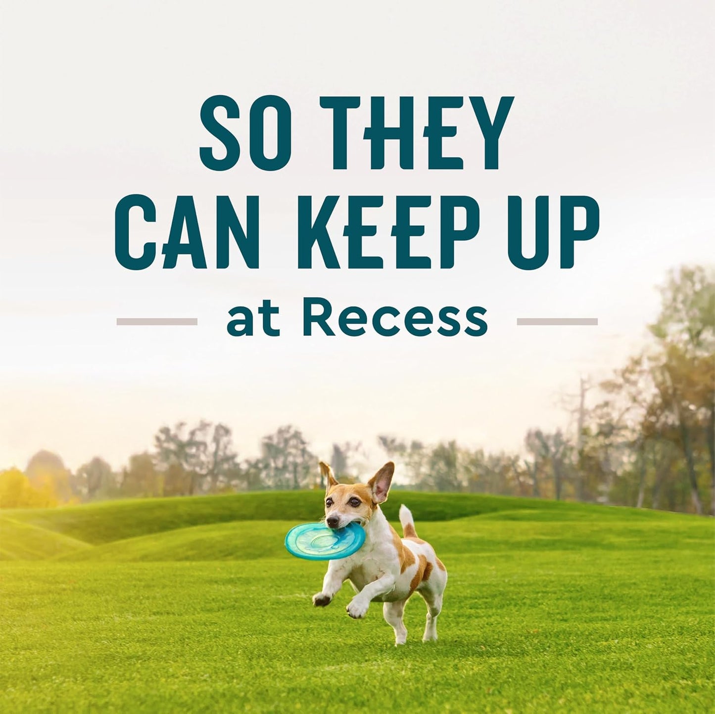 VetIQ Hip & Joint Supplement for Dogs, Anti Inflammatory Joint Support, Glucosamine, MSM, and Krill, Chicken Flavored Soft Chews, 60 Count