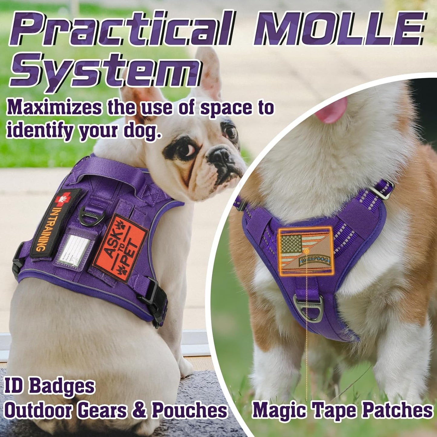 rabbitgoo Tactical Dog Harness Medium Sized Dog, No Pull Military Service Vest with Handle & Molle, Easy Control for Training Walking, Adjustable Reflective Straps, Purple, M