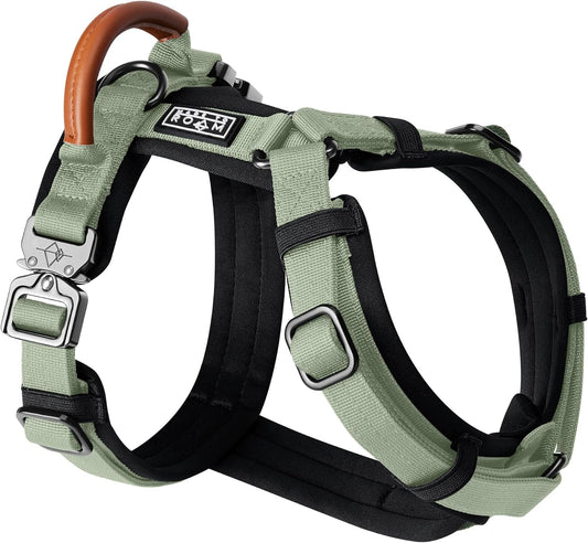 MADE TO ROAM Premium Explorer Harness - Y-Shaped Dog Harness with Adjustable Durable Nylon, Soft Padding, Metal Buckles and Leather Handle for Small, Medium, Large Dogs (Washington Rain, Size 6)