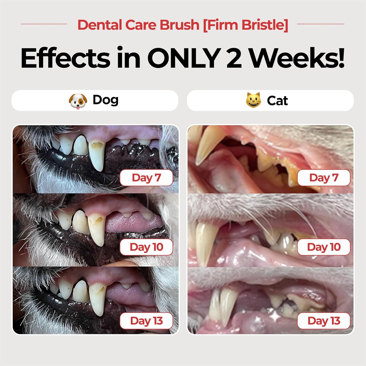 JAYU PET Dental Care Brush (Firm Bristles) 1ea - Resilient Dog Toothbrush, Cat Toothbrush for Tartar & Plaque Removal, Horizontal Head and S-Curved Body