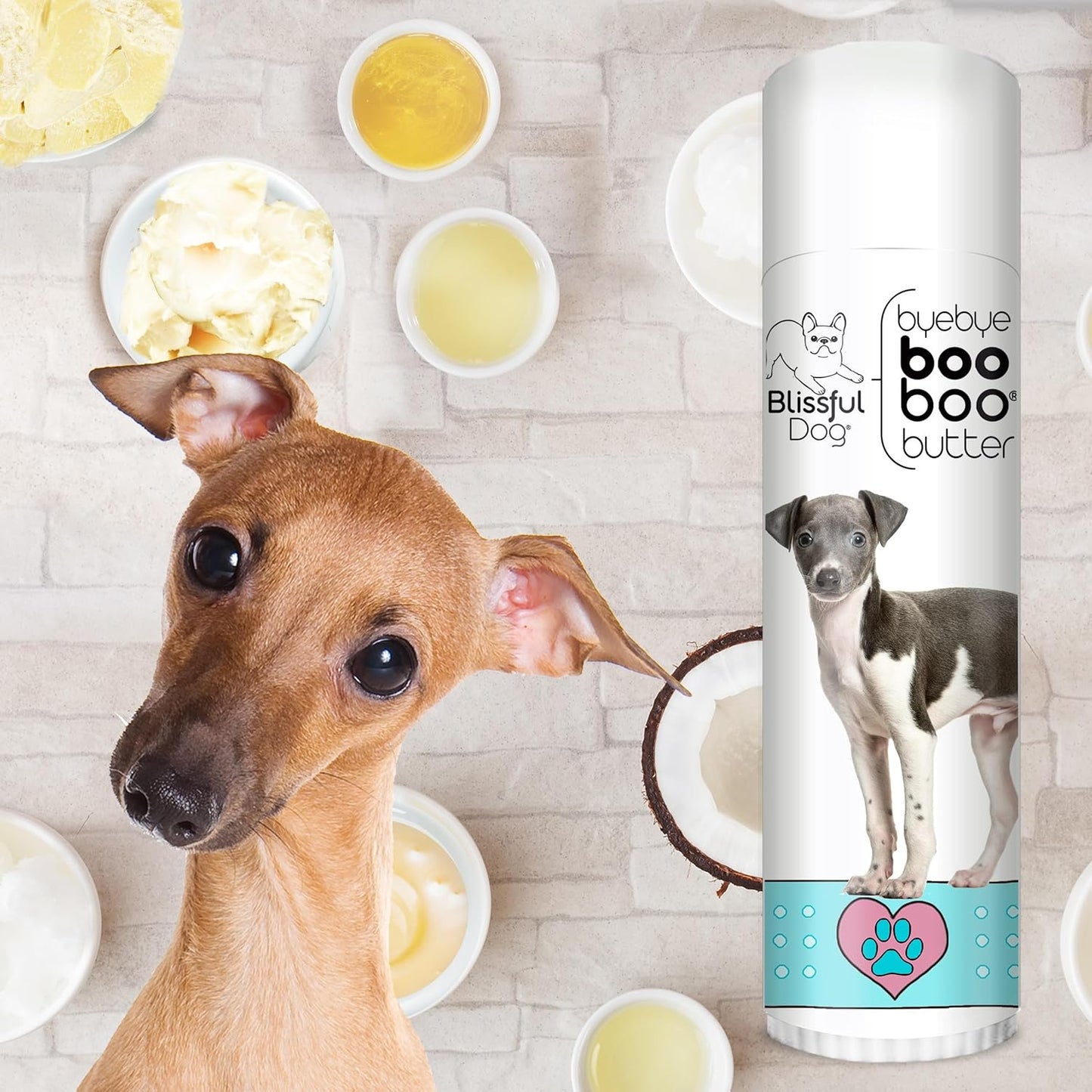 The Blissful Dog Italian Greyhound Boo Boo Butter, 0.50-Ounce