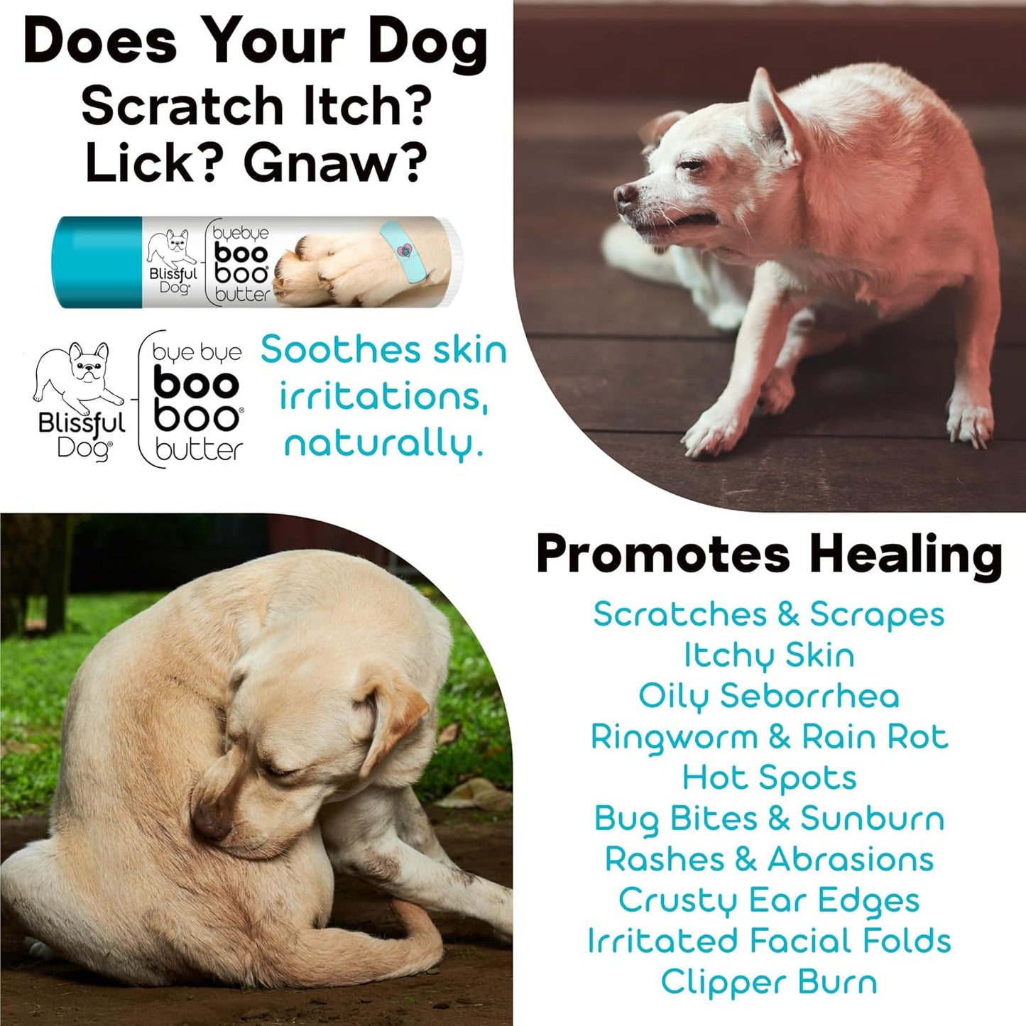 The Blissful Dog .50 oz Tube Chihuahua Booboo Butter