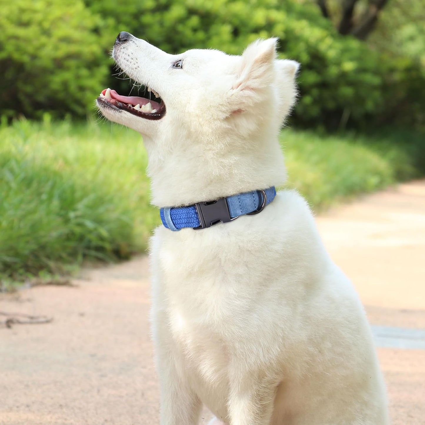 PET ARTIST Soft Cotton Dog Collar for Large Dogs in Tranquil Blue, Simple Dog Collar with Quick Release Metal Buckle & D Ring, L Size (15-23")