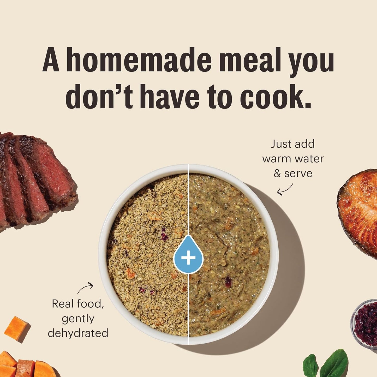 The Honest Kitchen Wholemade™ Grain Free Fish Dog Food, 4 lb Box