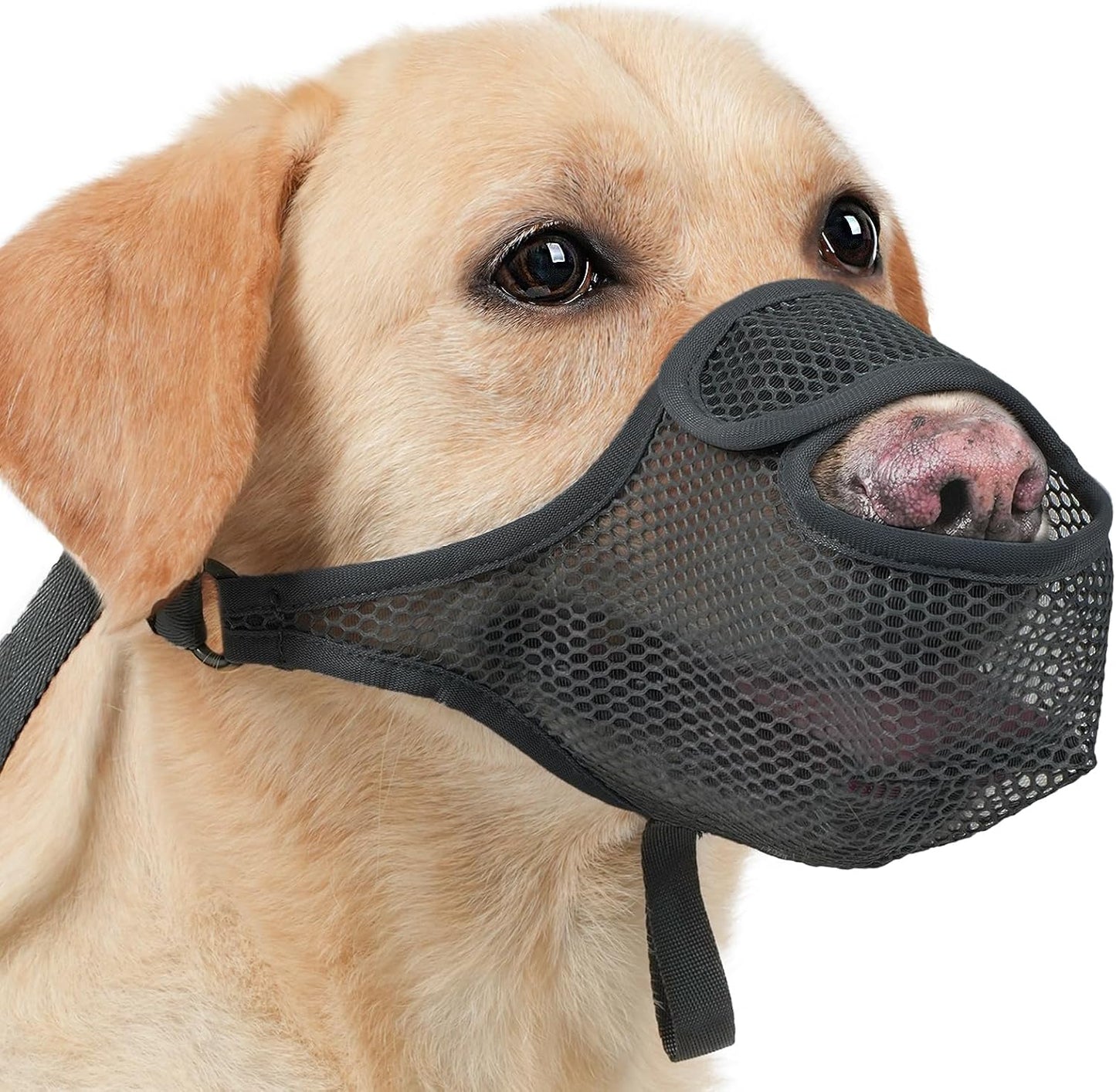 LUCKYPAW Dog Muzzle for Large Medium Small Dogs, Patented Mesh Muzzle to Prevent Biting Chewing Eating, Soft Mouth Guard with Front Opening Design for Drinking Panting(Black, L)