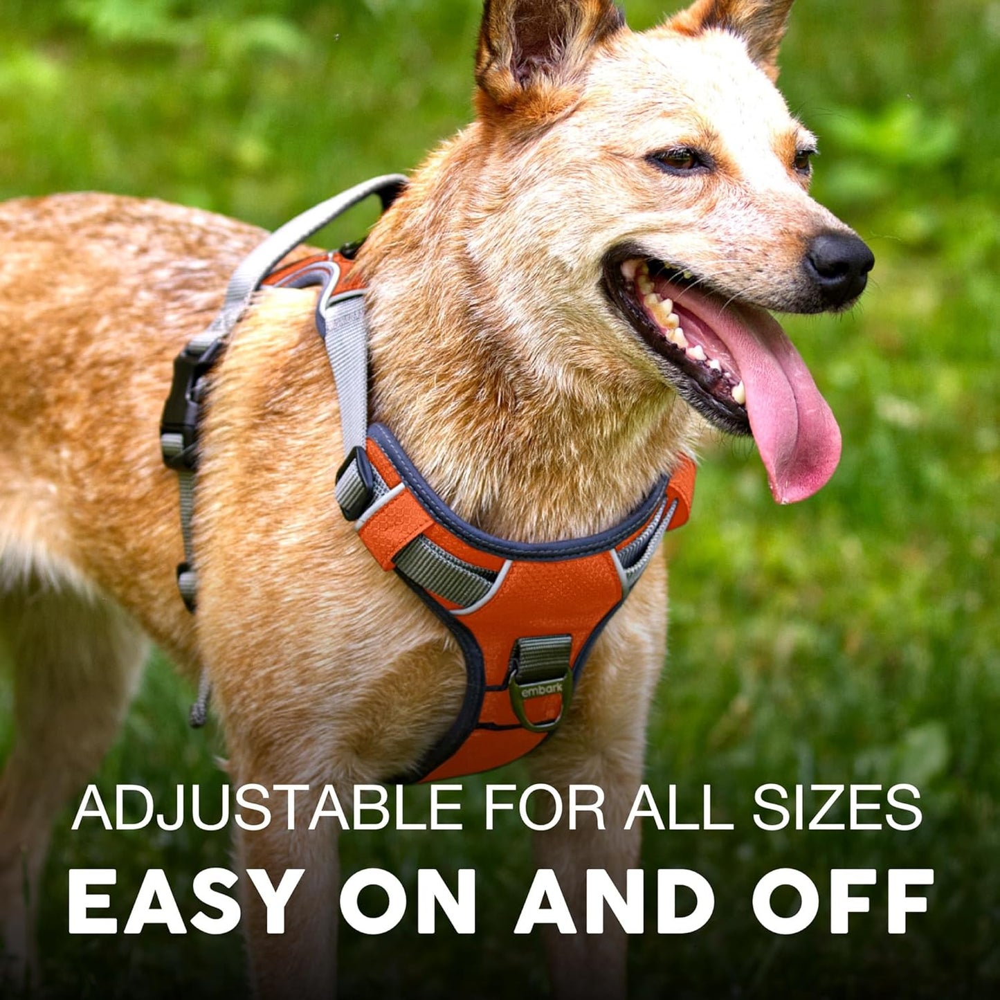 Embark Adventure Dog Harness, Reflective Trim No Pull Dog Harness for Large Dogs - Military Grade Nylon, Front Clip with Gel Lined Handle.