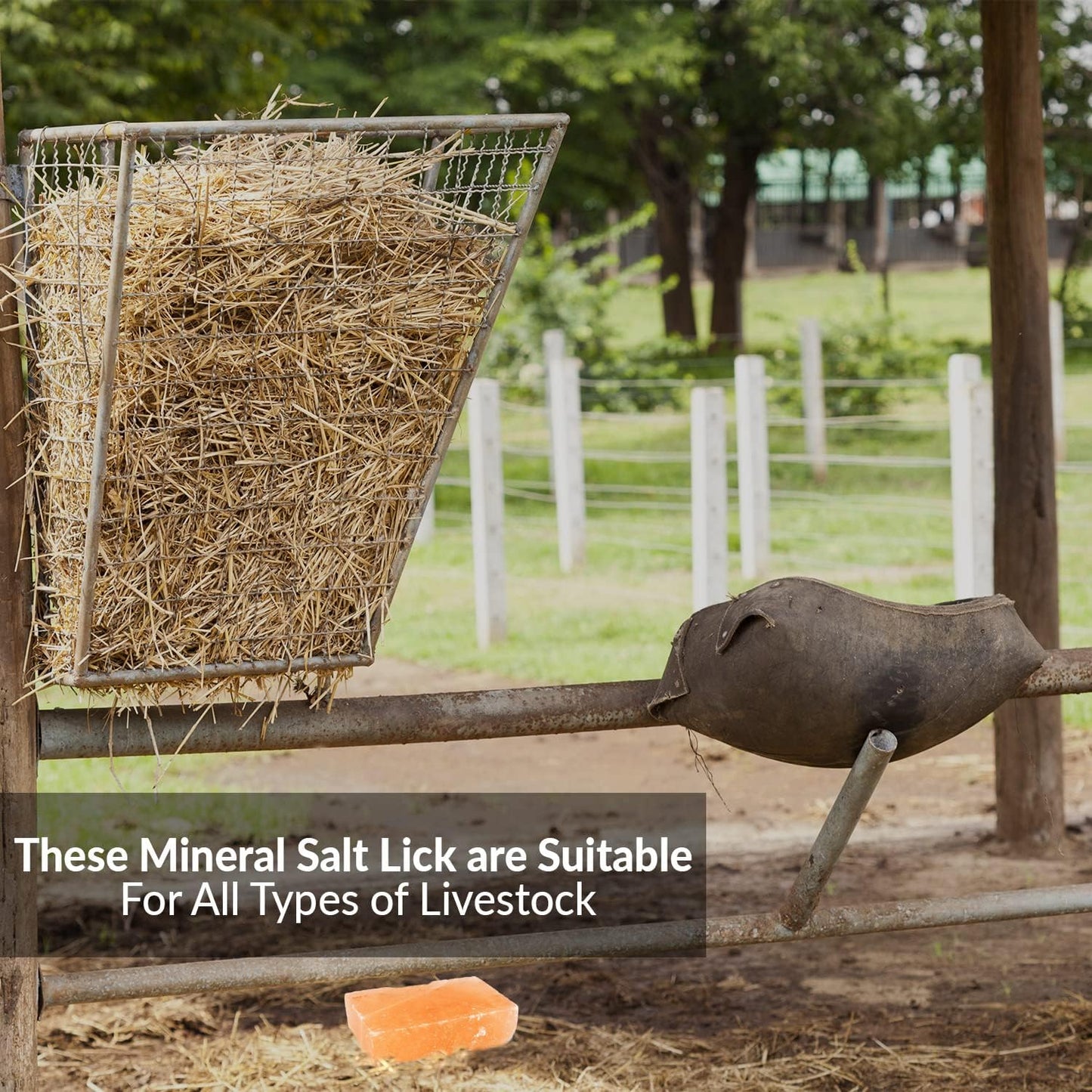 Licking Salt for Horse, 100% Pure Himalayan Pink Salt Chunks, 6 LBS, Animal Feed Salt Chunks, Horse Salt Licks, Natural Mineral Salt - Pack of 2