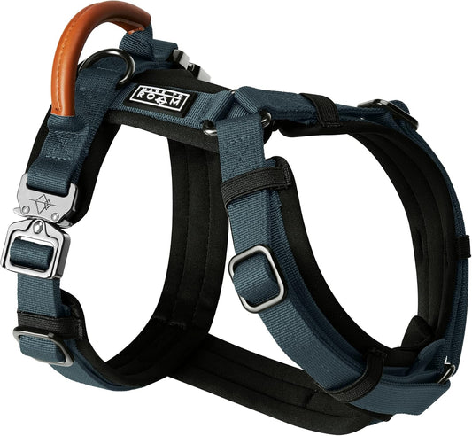 MADE TO ROAM Premium Explorer Harness - Y-Shaped Dog Harness with Adjustable Durable Nylon, Soft Padding, Metal Buckles and Leather Handle for Small, Medium, Large Dogs (Colorado Nightsky, Size 2)