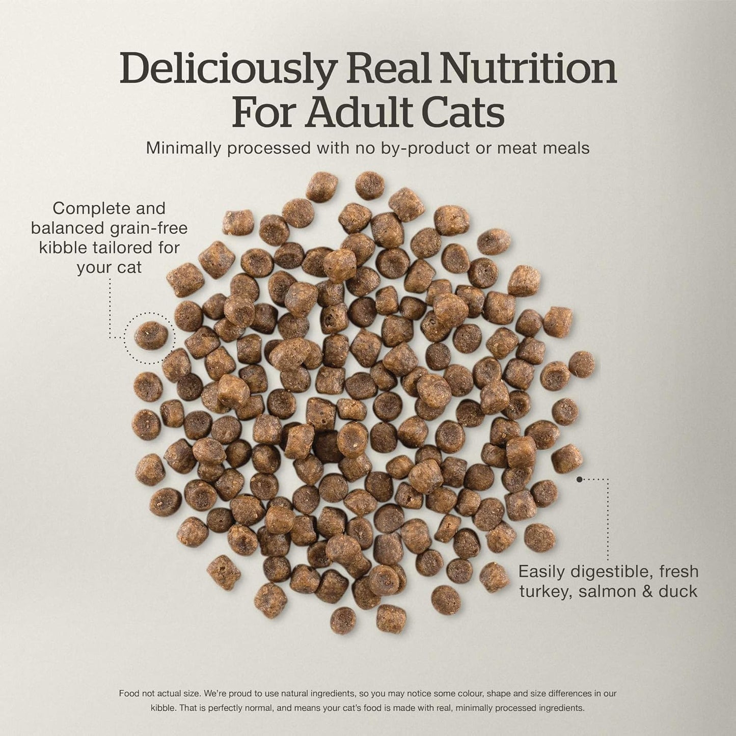 Now Fresh Grain-Free Dry Cat Food with Turkey, Salmon & Duck, Healthy Kibble for Adults Made with Real Meat & Fish, Chicken-Free, with Pumpkin & Probiotics for Sensitive Stomachs, 8 lb Bag