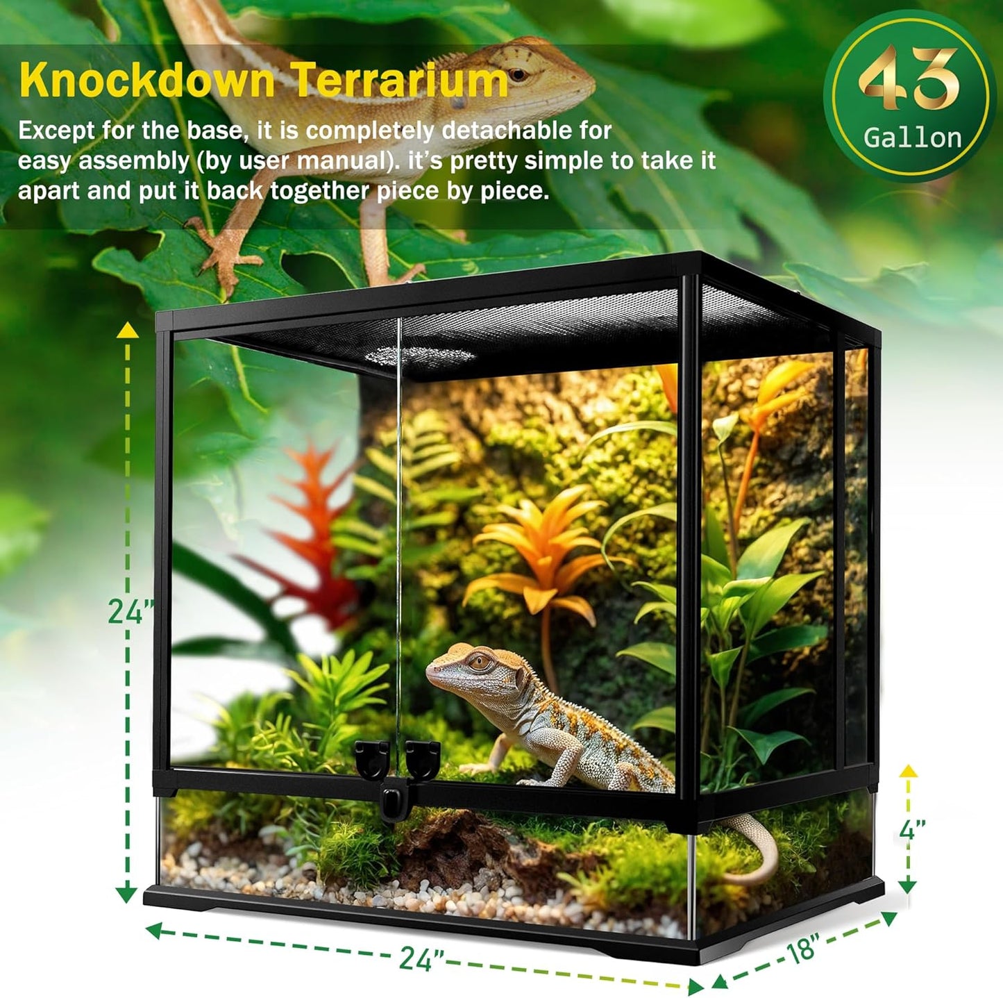 43 Gallon Professional Glass Terrarium 24"x18"x24" Durable Reptile Habitat Tank with Heat Resistant Aluminum Alloy Frame, Dual Front Swinging Doors for no Jam by Sand and Other Debris
