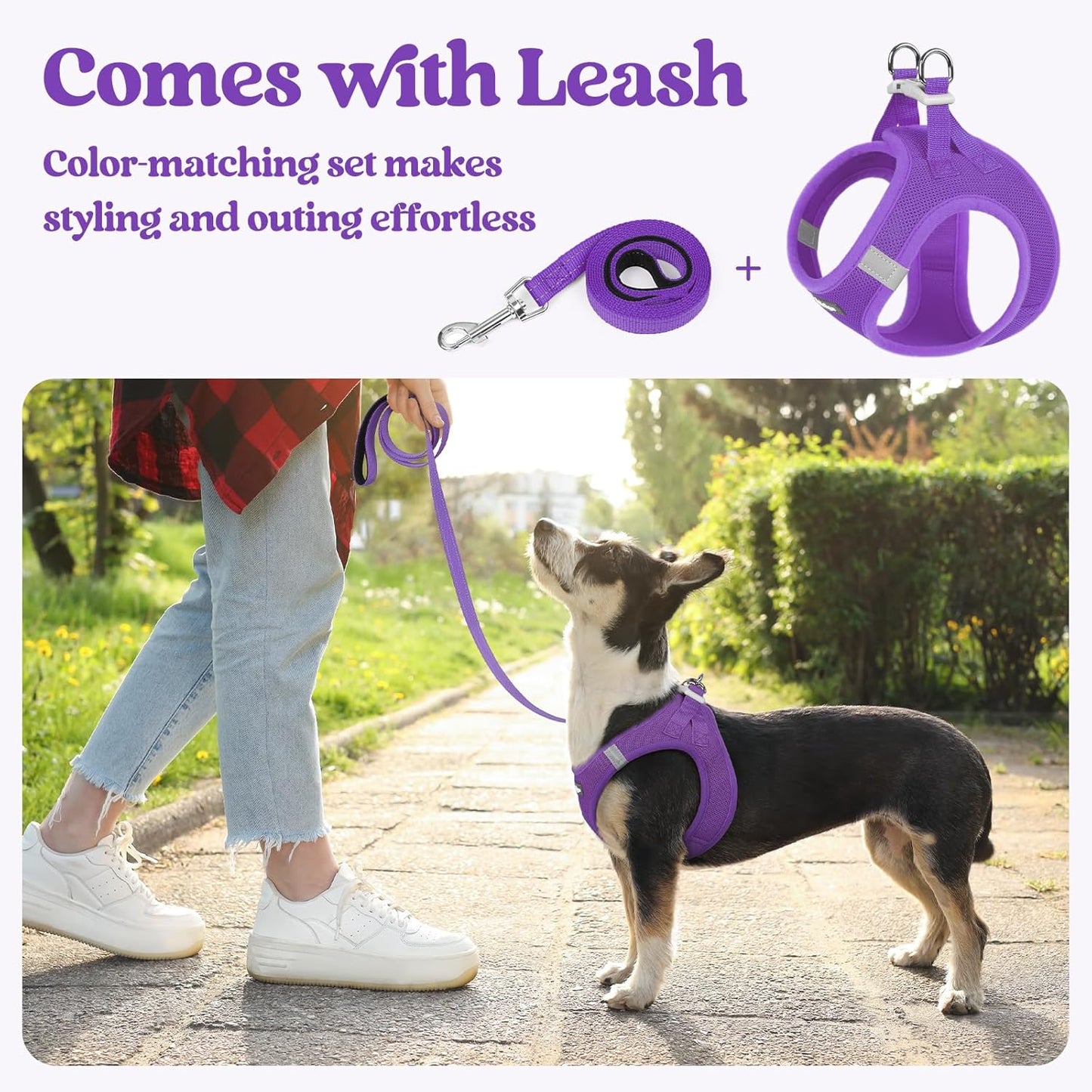 rabbitgoo Dog Harness Small Sized and Leash Set, Step in Soft Light Puppy Vest, Breathable Mesh Pet Harness, Reflective for Outdoor Safe Walking, Purple XL