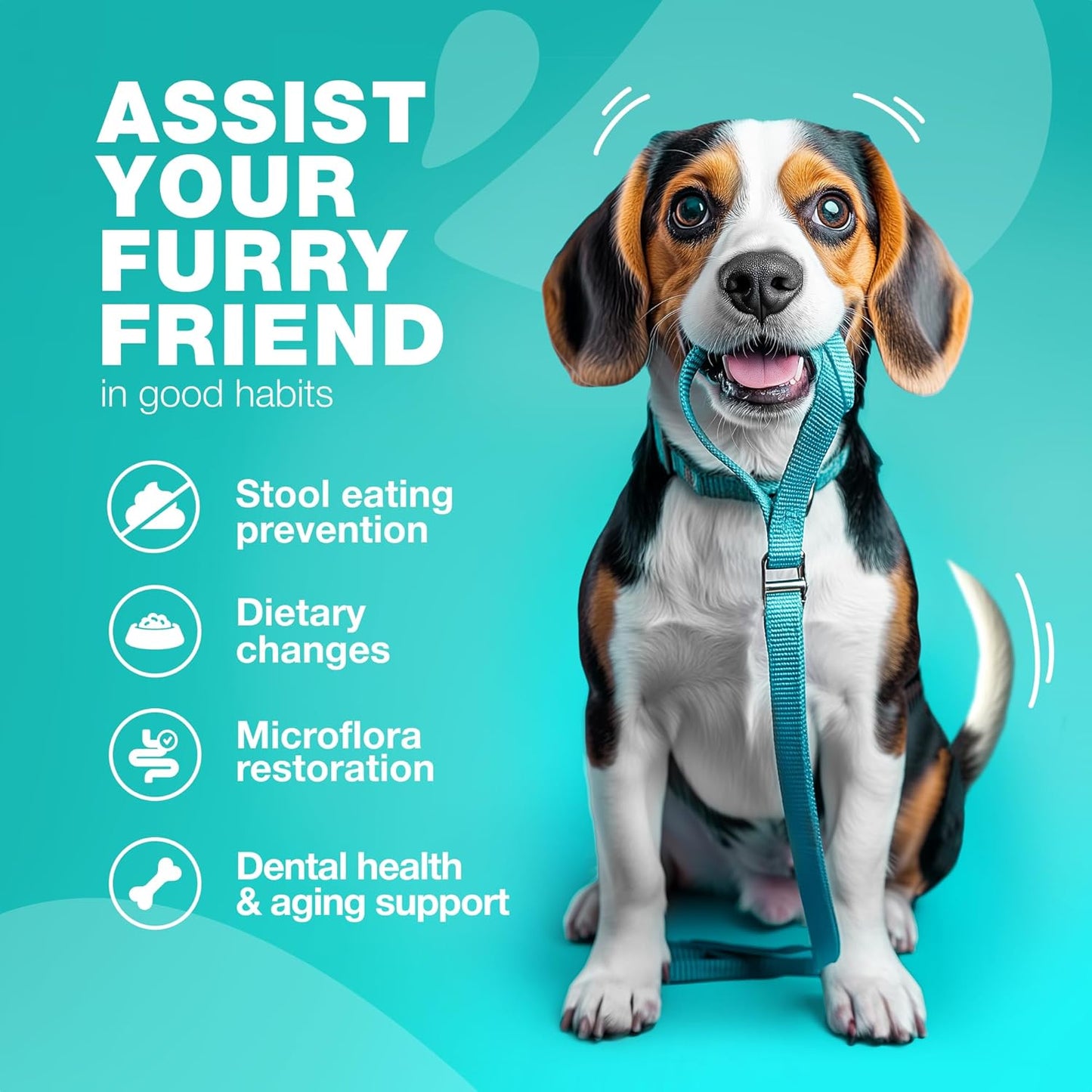 No Poo Chews for Dogs - Coprophagia Deterrent - Dog Probiotics for Digestive Health with Enzymes - Canine Stool Eating Deterrent - Digestive, Dental, Gut & Immune Health Treats - No Poop Eating