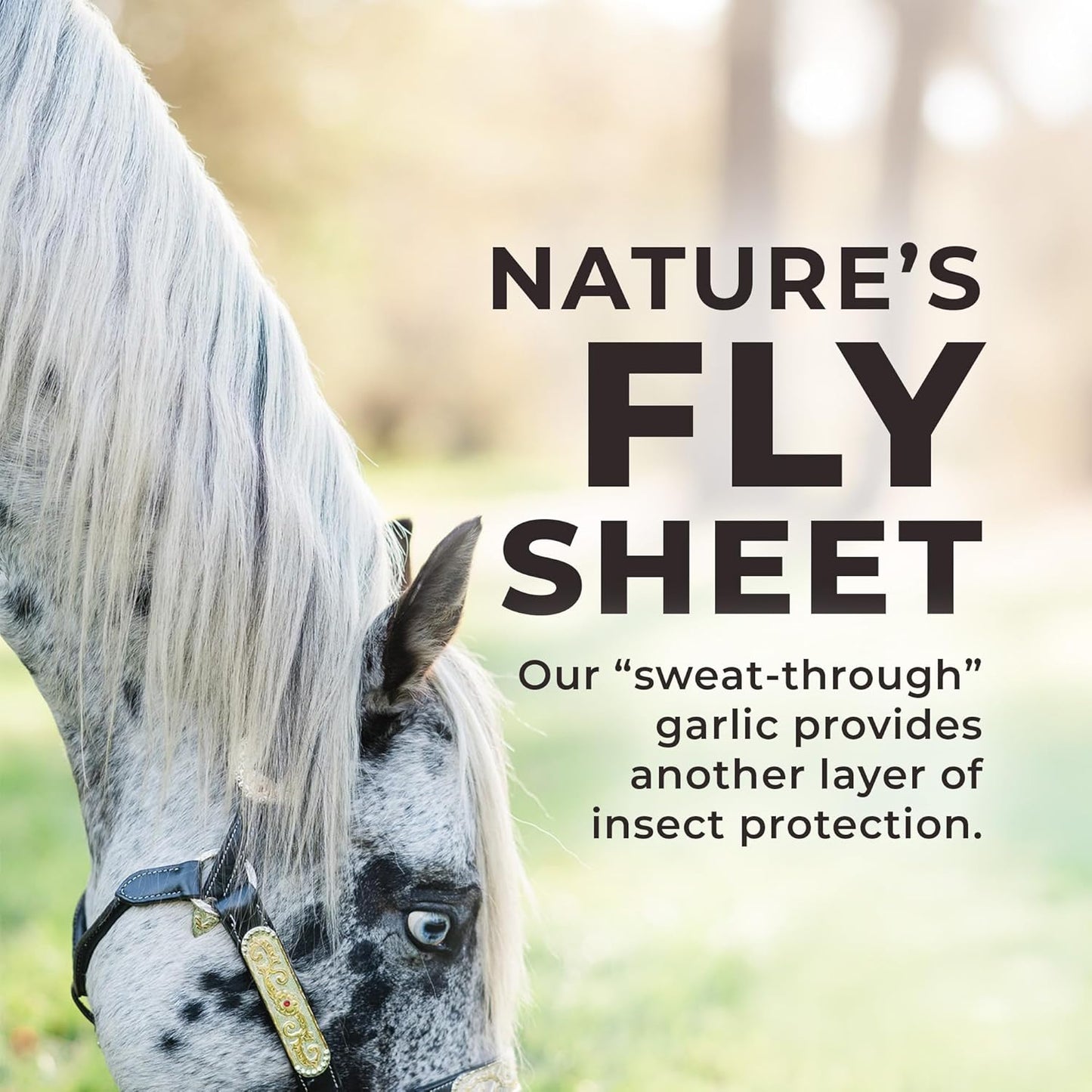 Redmond Daily Red | Horse Vitamins and Minerals Supplement - 25 LB Bag