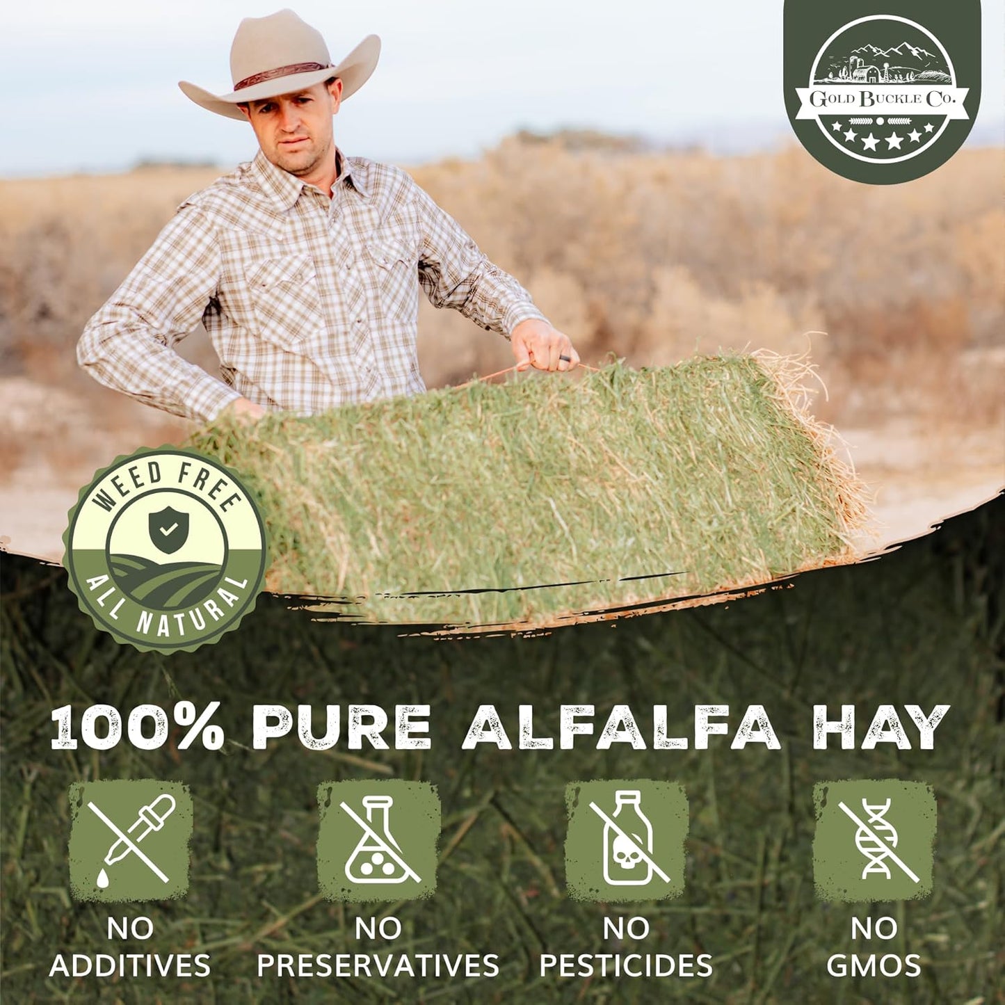 40lb Freshly Dried Organic Alfalfa Hay for Guinea Pigs, Rabbits, Chinchillas, Goats, Hamsters & Ferrets, Small Animal Food Rich in Protein & Fiber, Hand-Selected, Hand sorted, USA Grown