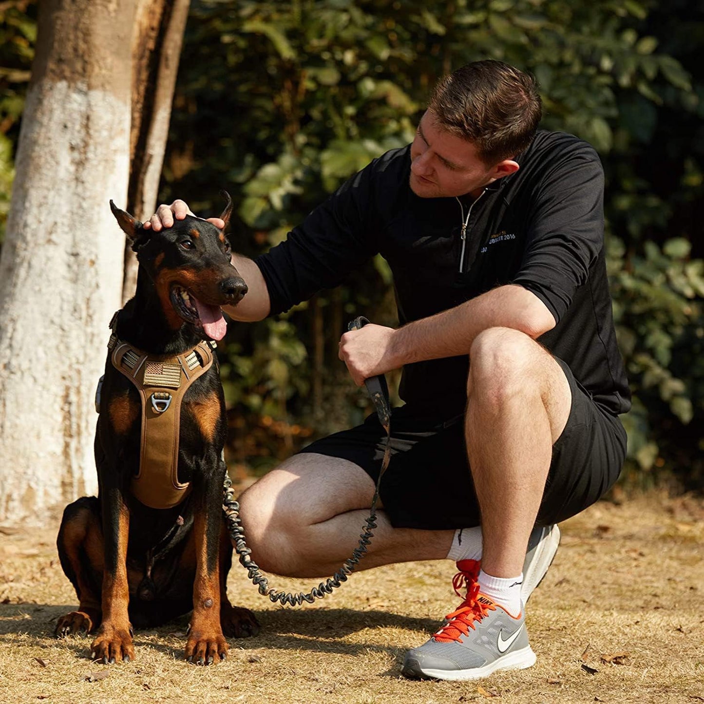 BUMBIN Dog Harness, Tactical XS, Brown, No Pull, Adjustable, Reflective, Soft Cotton, for Small Dogs Training, Fit Smart