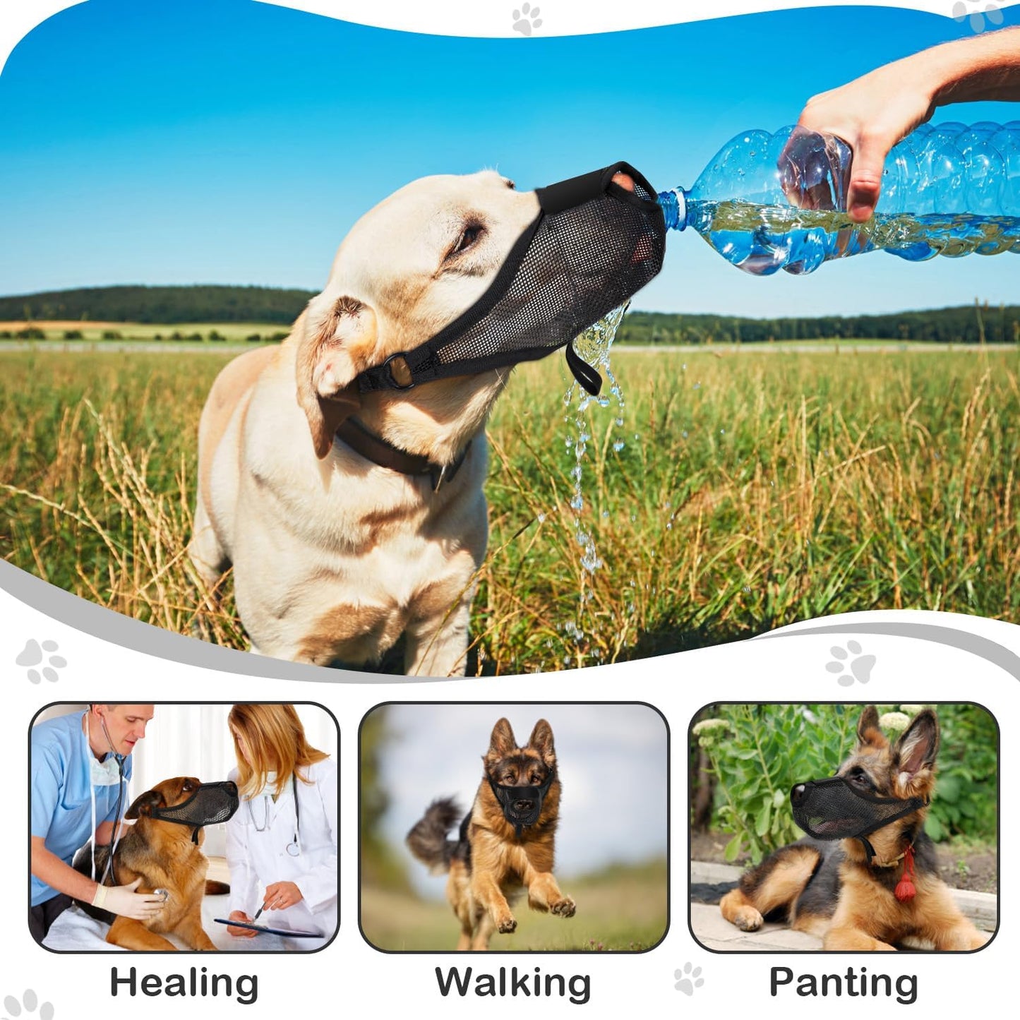 Dog Muzzle, Soft Air Mesh Muzzle for Small Medium Large Dogs Anti Biting Barking Chewing Scavenging, Breathable Adjustable Loop Pets Muzzle with Front Opening Design Allows Panting Drinking (Black,XL)