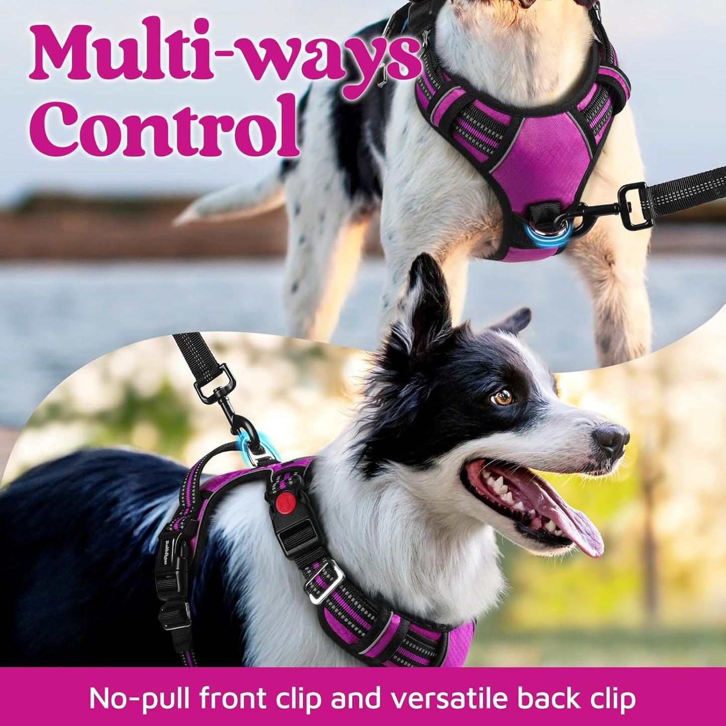 rabbitgoo Dog Harness for Large Dogs, No Pull Pet Vest with 3 Buckles, Adjustable Soft Padded Pet Harness with Easy Control Handle and Reflective Strips, Purple, XL