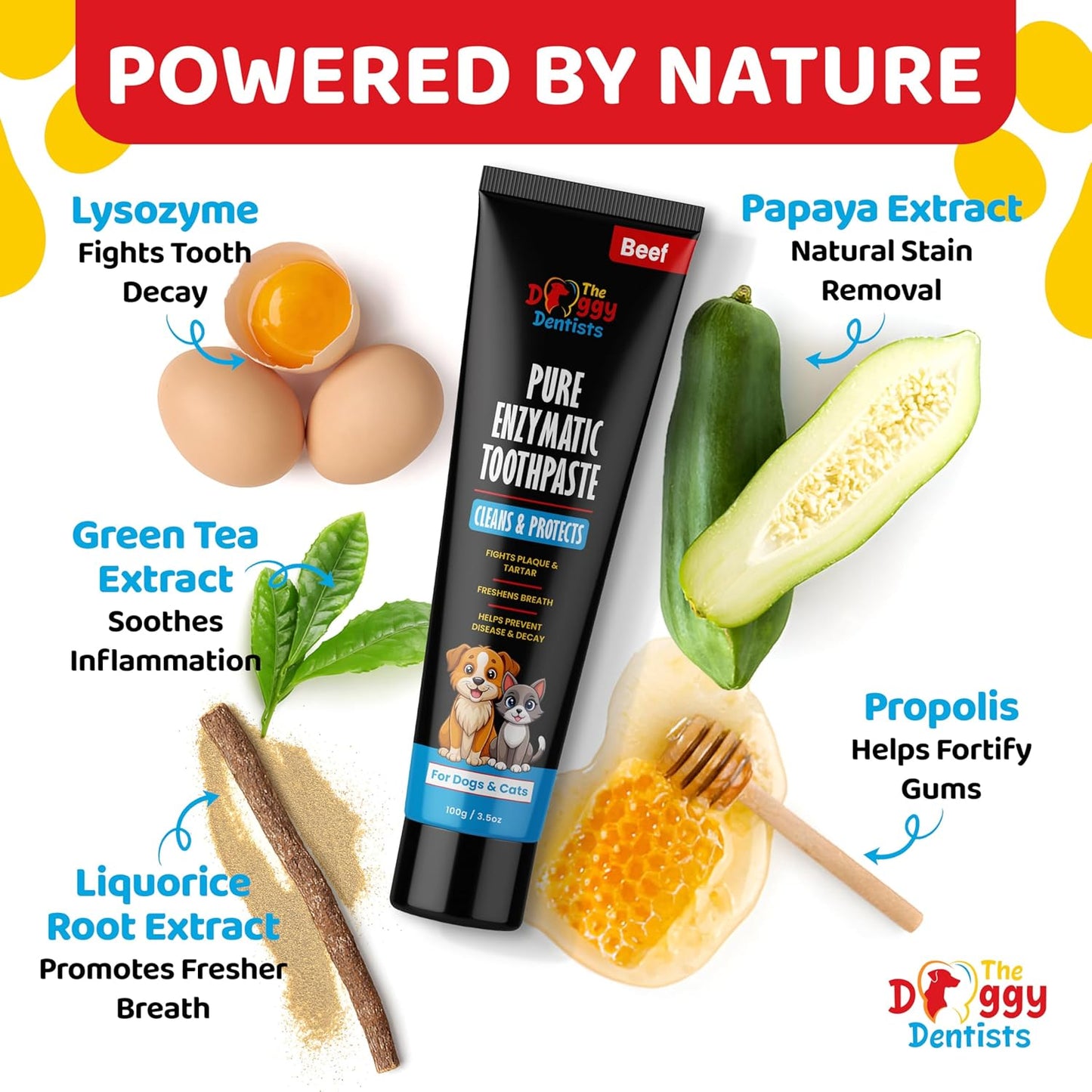 Vet Strength Pure Enzymatic Dog & Cat Toothpaste | 3.5oz Beef Flavor | Enzyme Pet Toothpaste for Tartar Removal, Bad Breath, Teeth Cleaning | Suitable for Puppies & Kittens