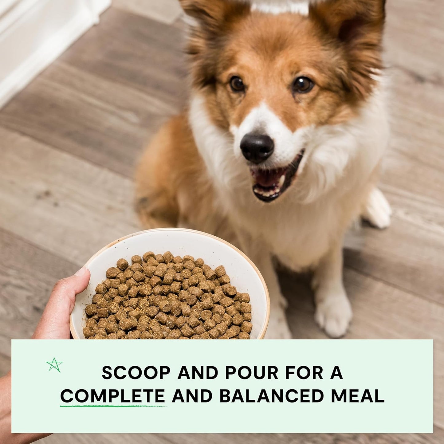 Open Farm, Grain-Free Dry Dog Food, Complete & Balanced Kibble, Sustainably & Ethically Sourced Ingredients, Non-GMO Veggies & Superfoods to Support Overall Health, Turkey and Chicken Recipe, 11lb Bag