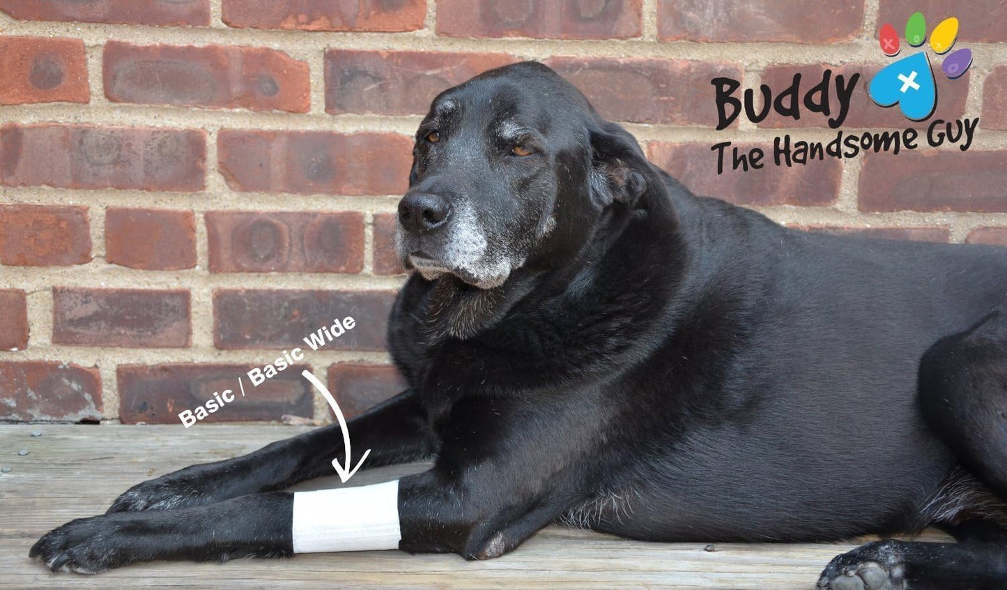 Basic Leg Bandages for Dogs, Cats and Other Pets First Aid Non-Adhesive Fur Friendly - Value 10 Pack (5 Standard, 5 Wide) by PawFlex (XXX-Small)