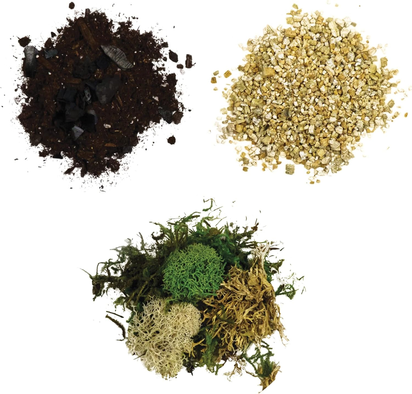 Cute Farms Terrarium Starter Kit with Glass | Moss, Vermiculite, Soil, Plant Food, Finishing Tool, Miniature Dinosaurs, Build and Care Guide